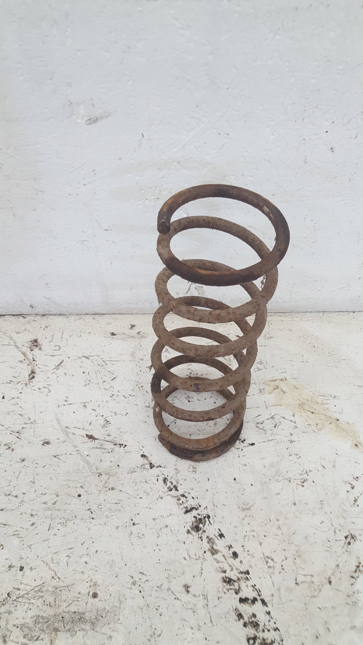 molla posteriore posteriore BMW E10 1602