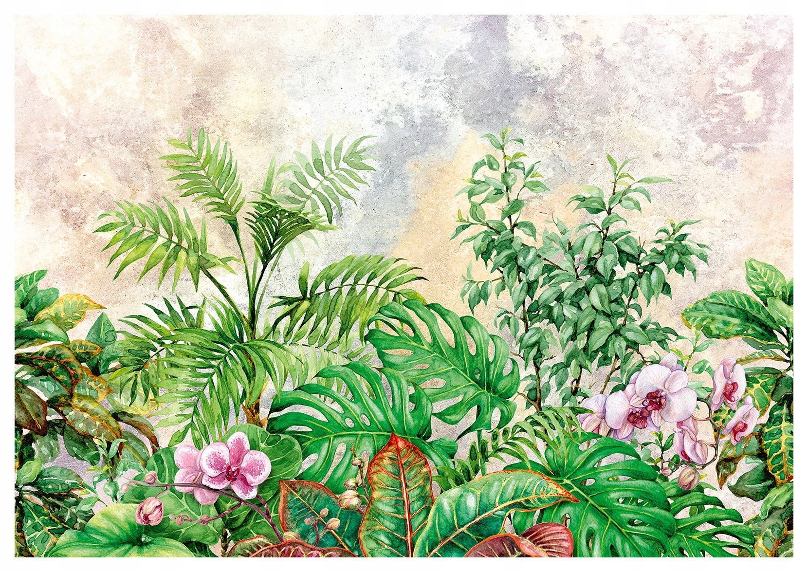 Fototapeta Tropické listy palmy monstery orchidey 312x219 lepidlo