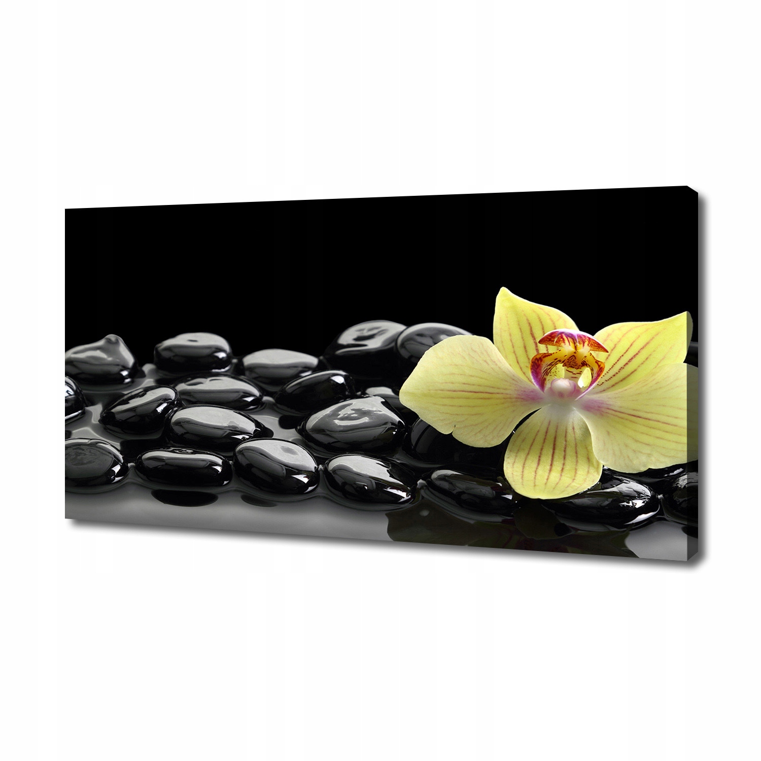 

Foto obraz canvas na ścianę Orchidea 140x70 cm