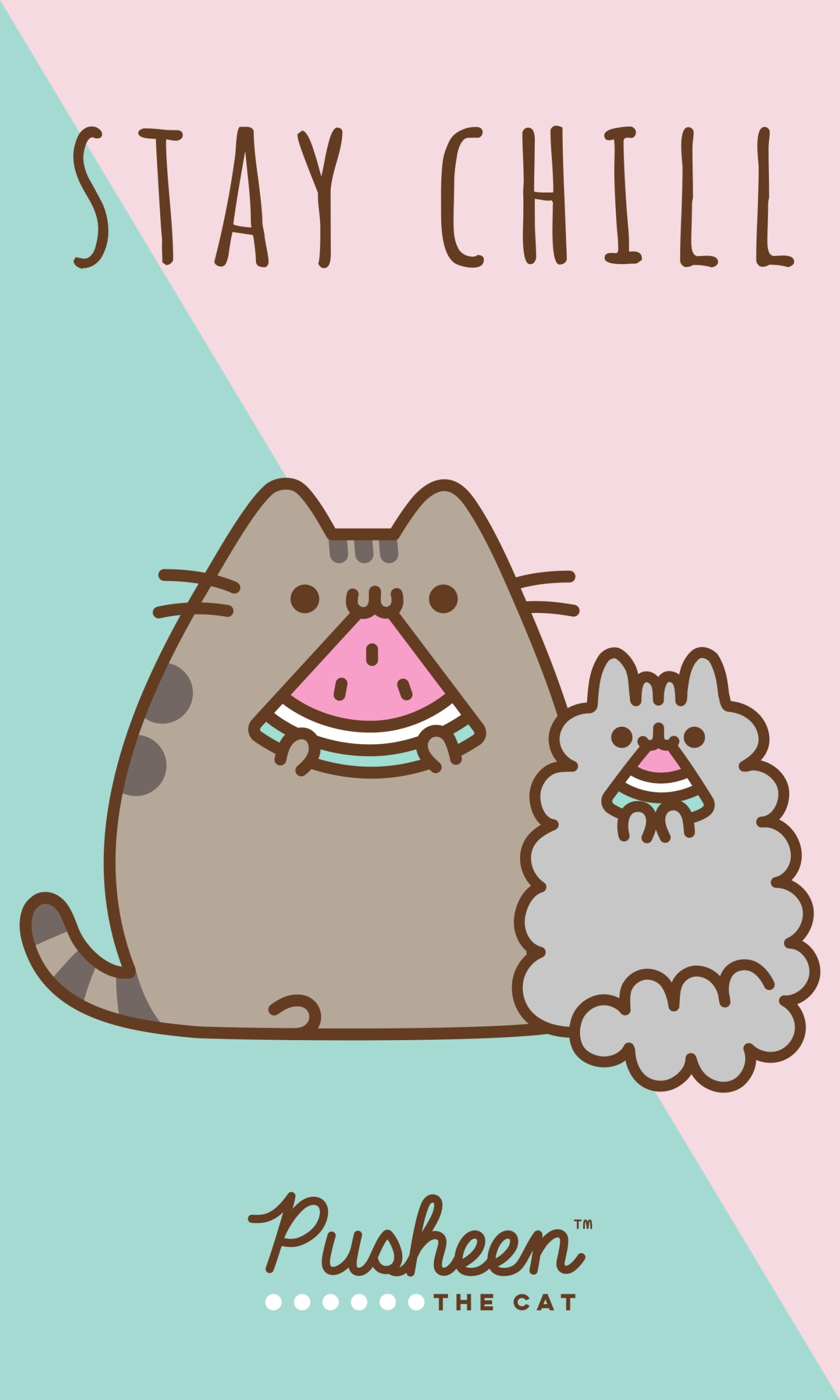 Uterák na ruky 30x50 Mačka Pusheen do škôlky domov do ručičiek do škôlky