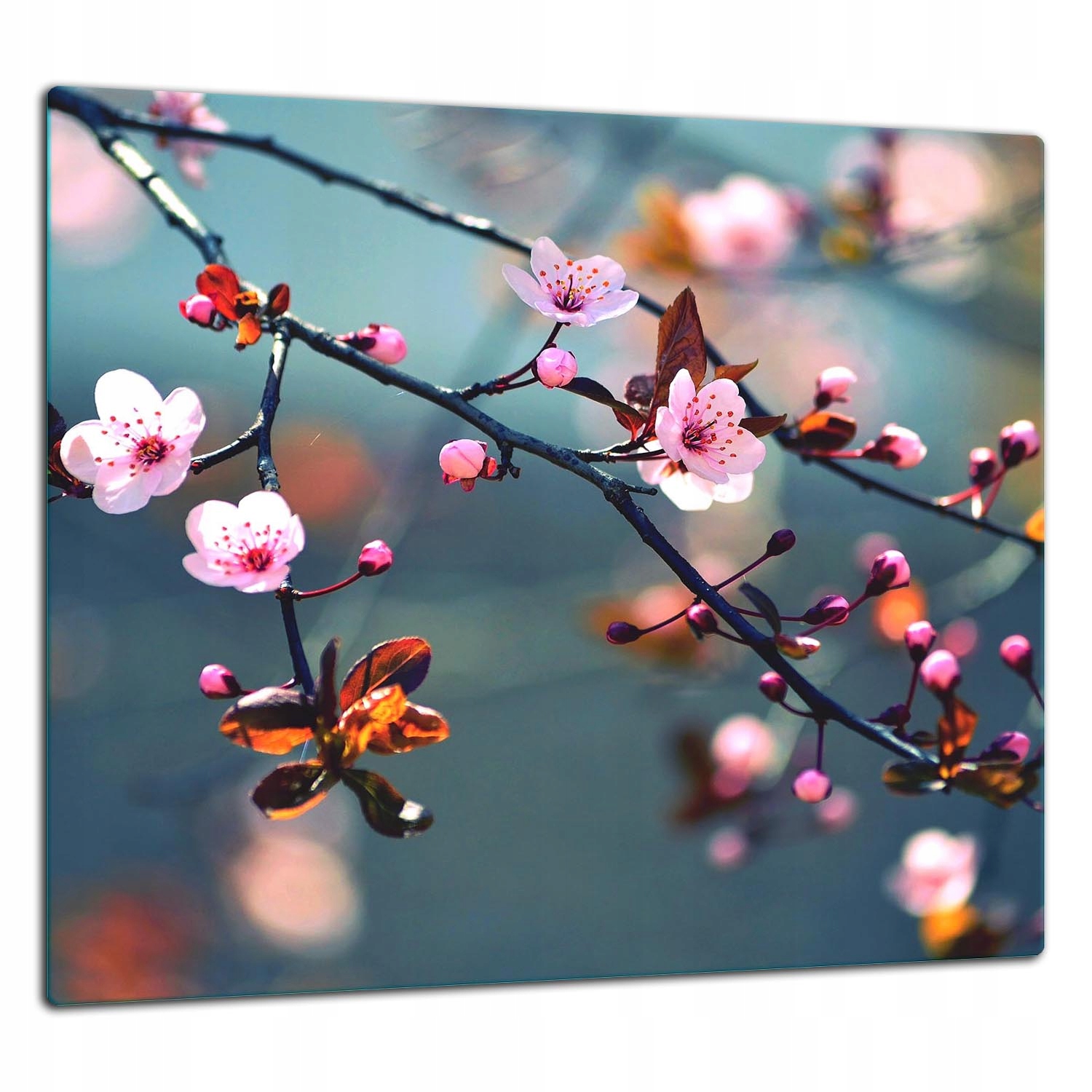 Skleněná Ochranná Deska Panel Lepidlo 65x60 Květiny