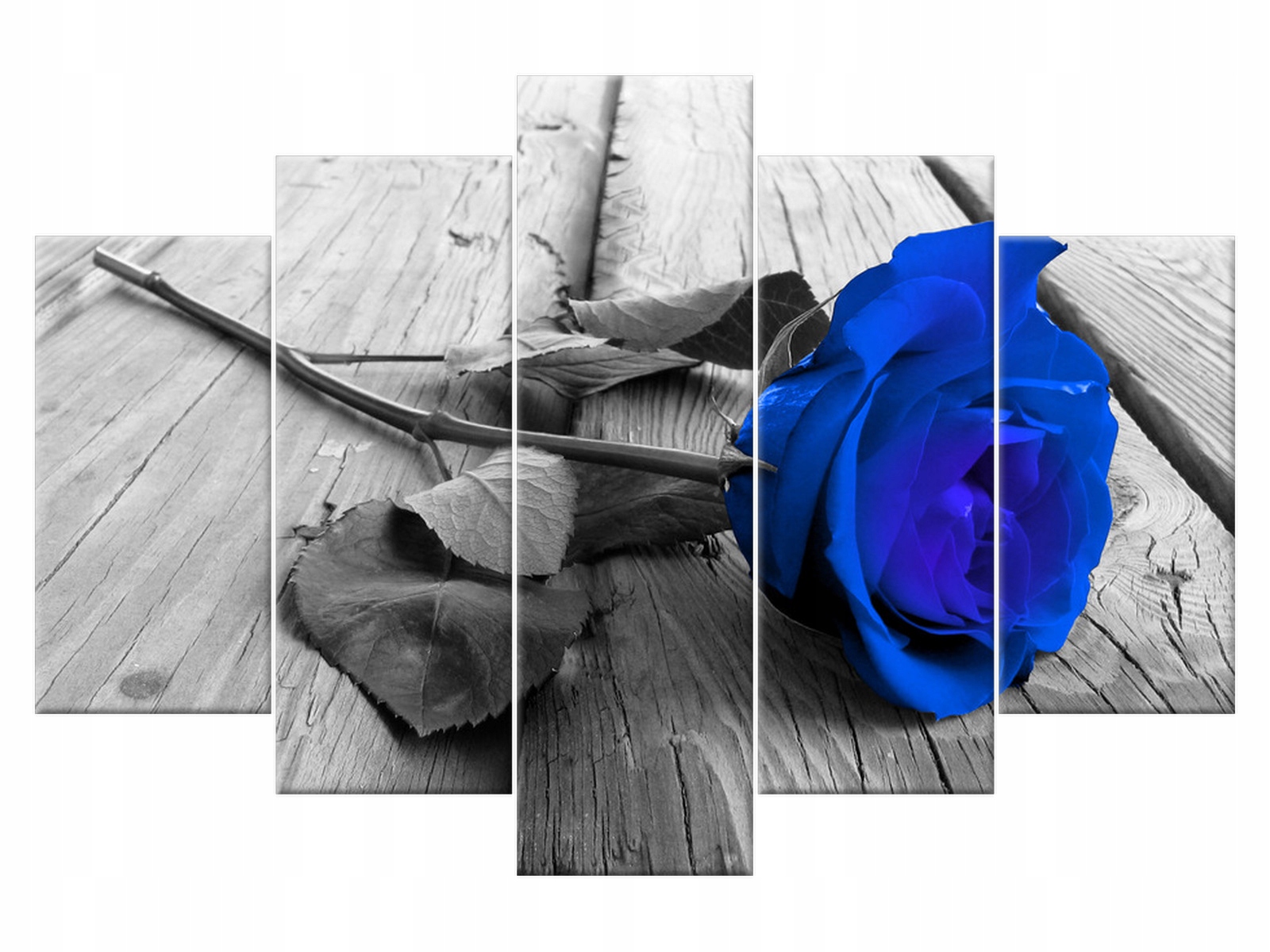 

Obraz Chabrowa różyczka 150x100 Róża 2214A_5G