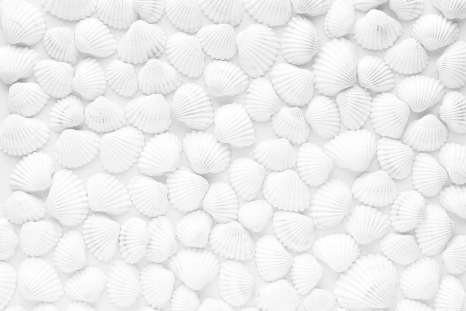 Magnetická maskovací podložka na radiátor, bílé mušle, 60 x 100 cm