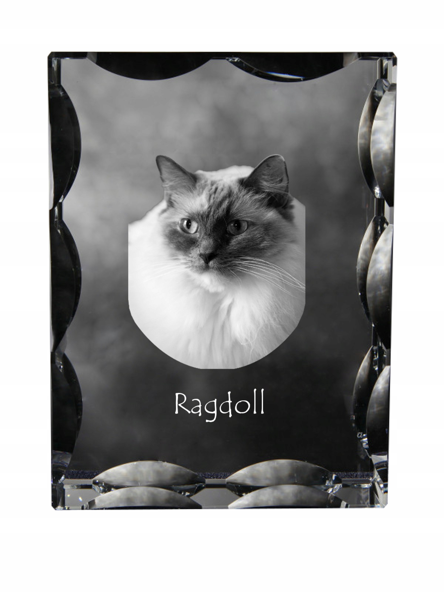 Mačka Ragdoll fotografia v ozdobnom kryštáli, suvenír, dekorácia domu