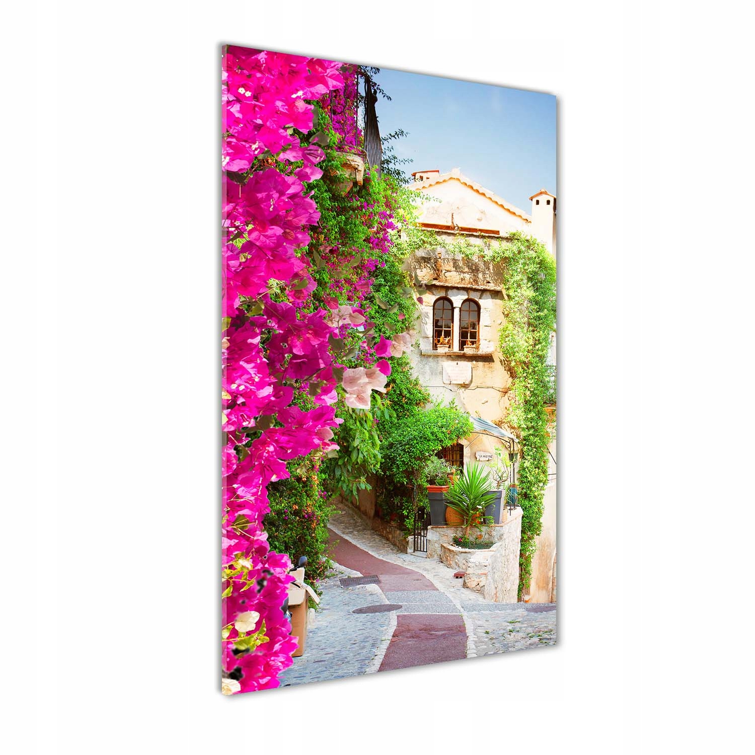 

Foto obraz akrylowy Prowansja Francja 60x120 cm