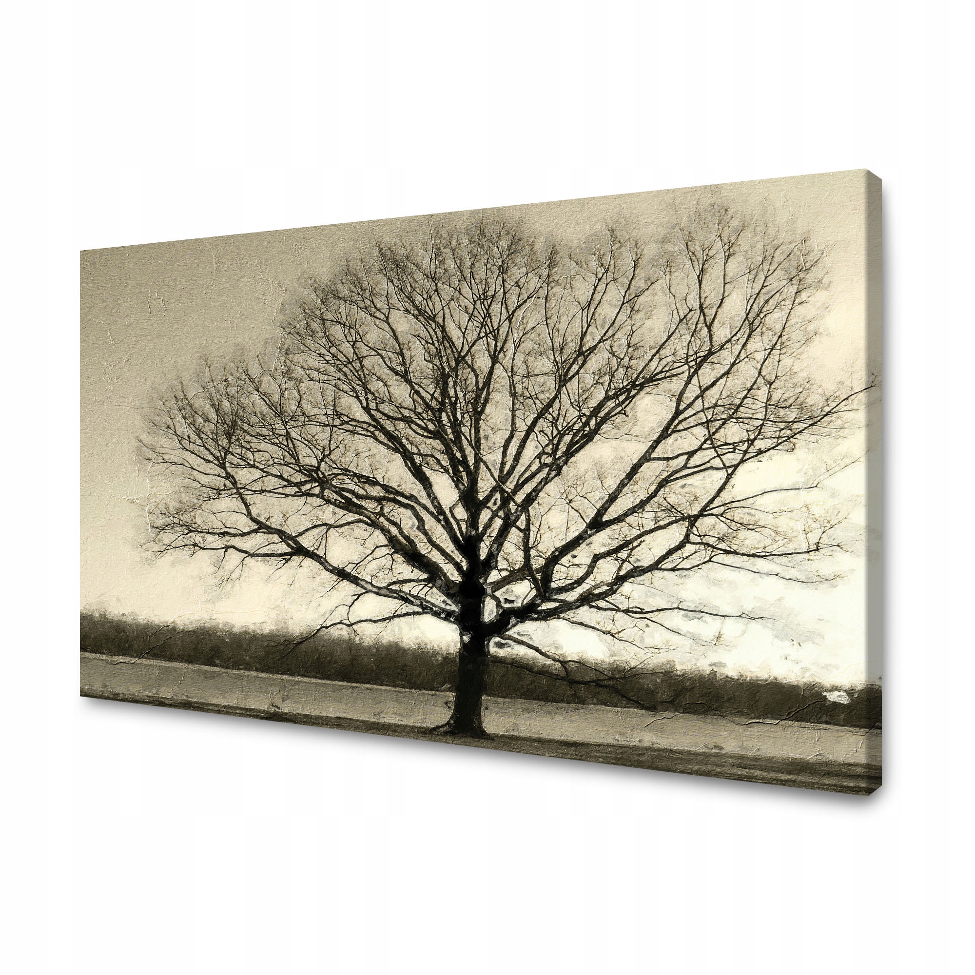 Obraz na plátně Ponuré Černé Dřevo Smutek 90x60 cm Ideální jako dárek
