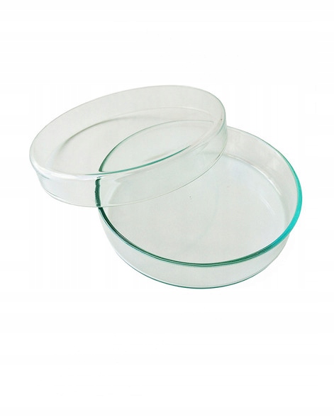 

Szalka Petriego szklana 90 x 15 mm