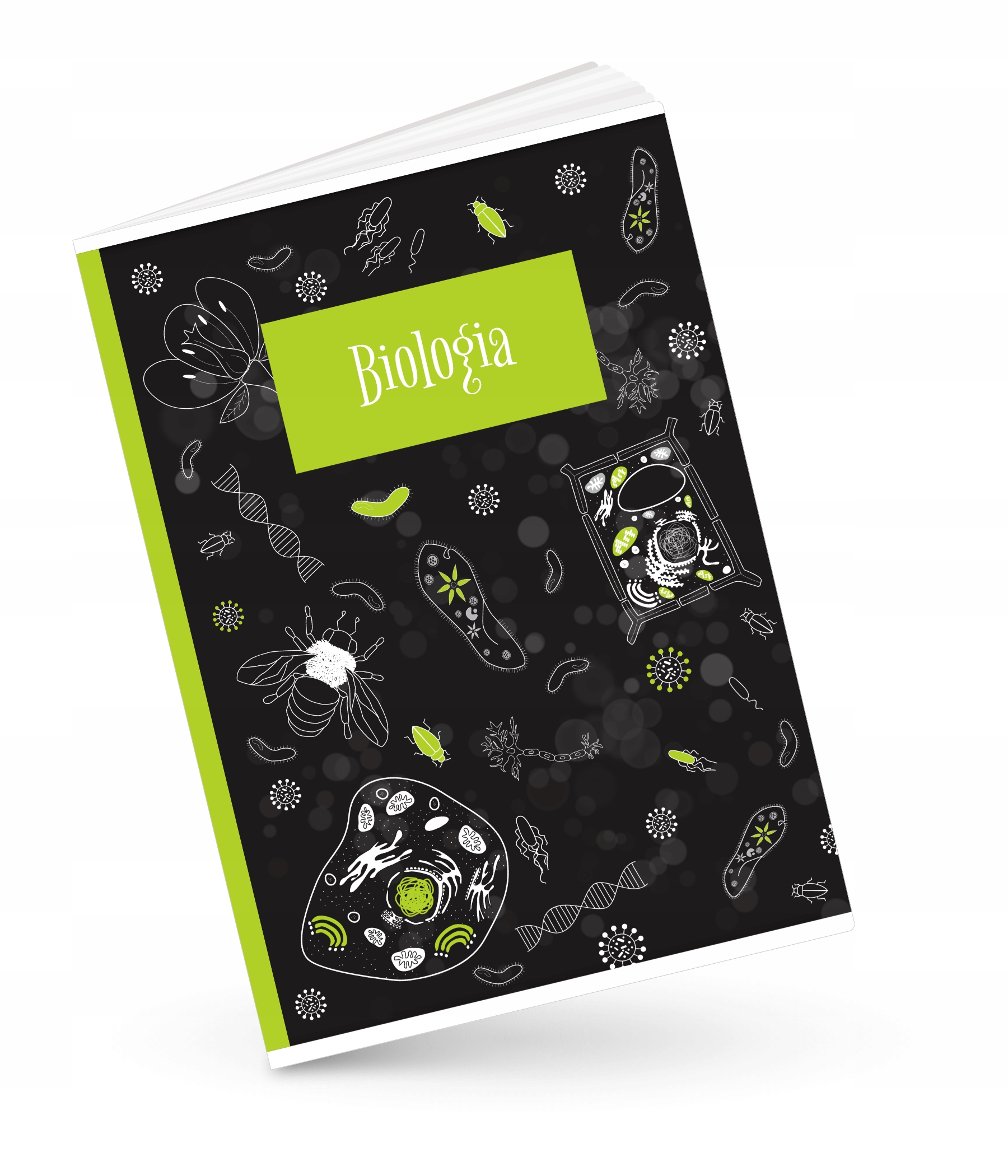 

Zeszyt Sebit A5/60 Biologia krata Ściąga