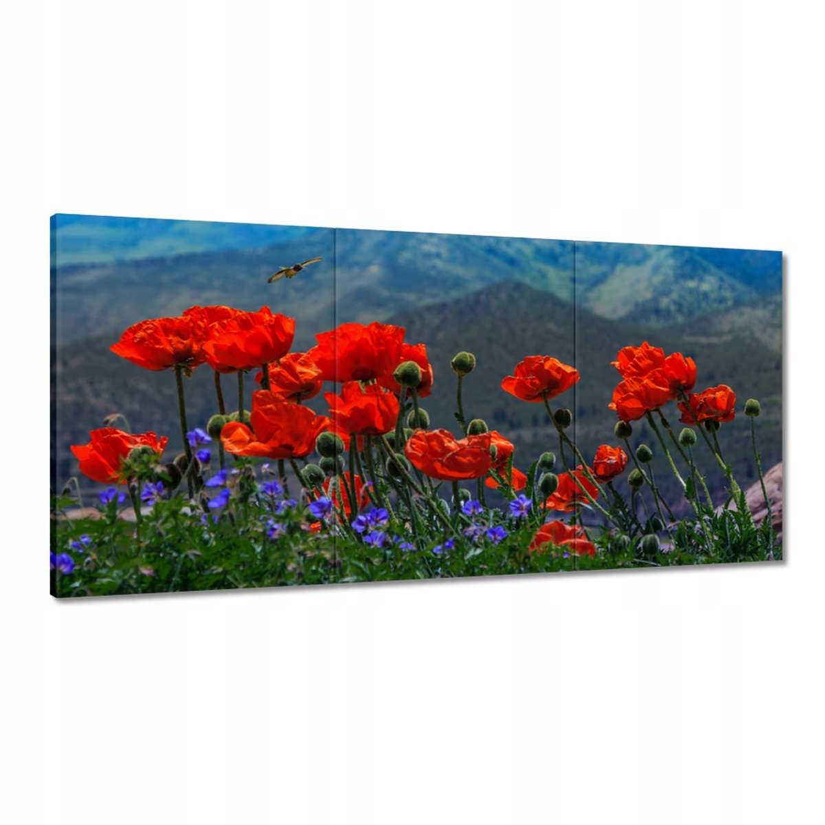 Obrazy 180x90 Červené maky Kvety