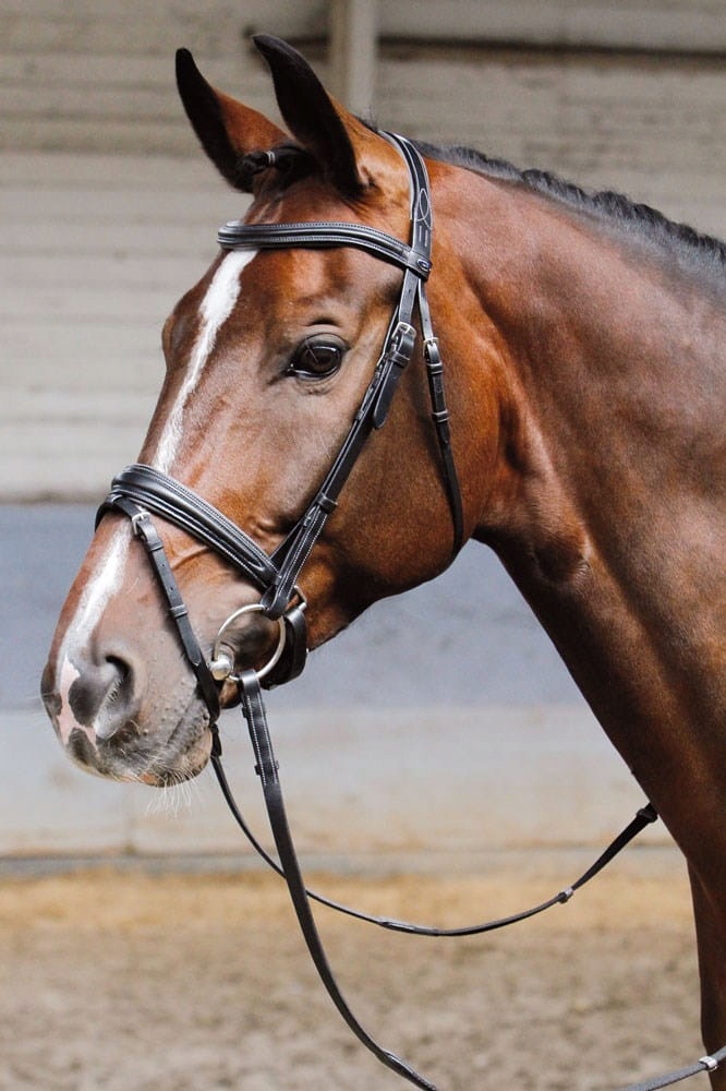 Ogłowie HH Soft black, FULL Stan opakowania oryginalne