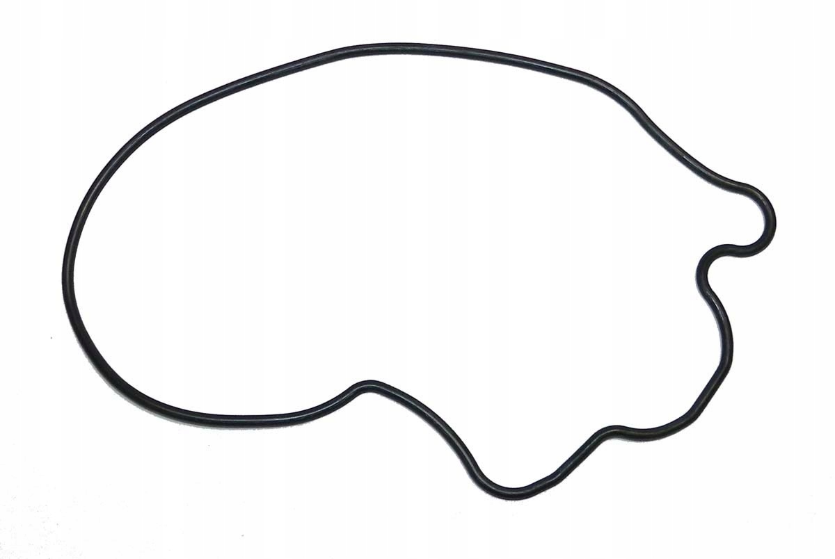 O-ring pompy olejowej Yamaha FX HO 1100 V1 1100