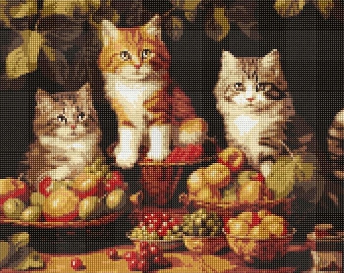 Diamantová mozaika Kočky a ovoce 40x50cm