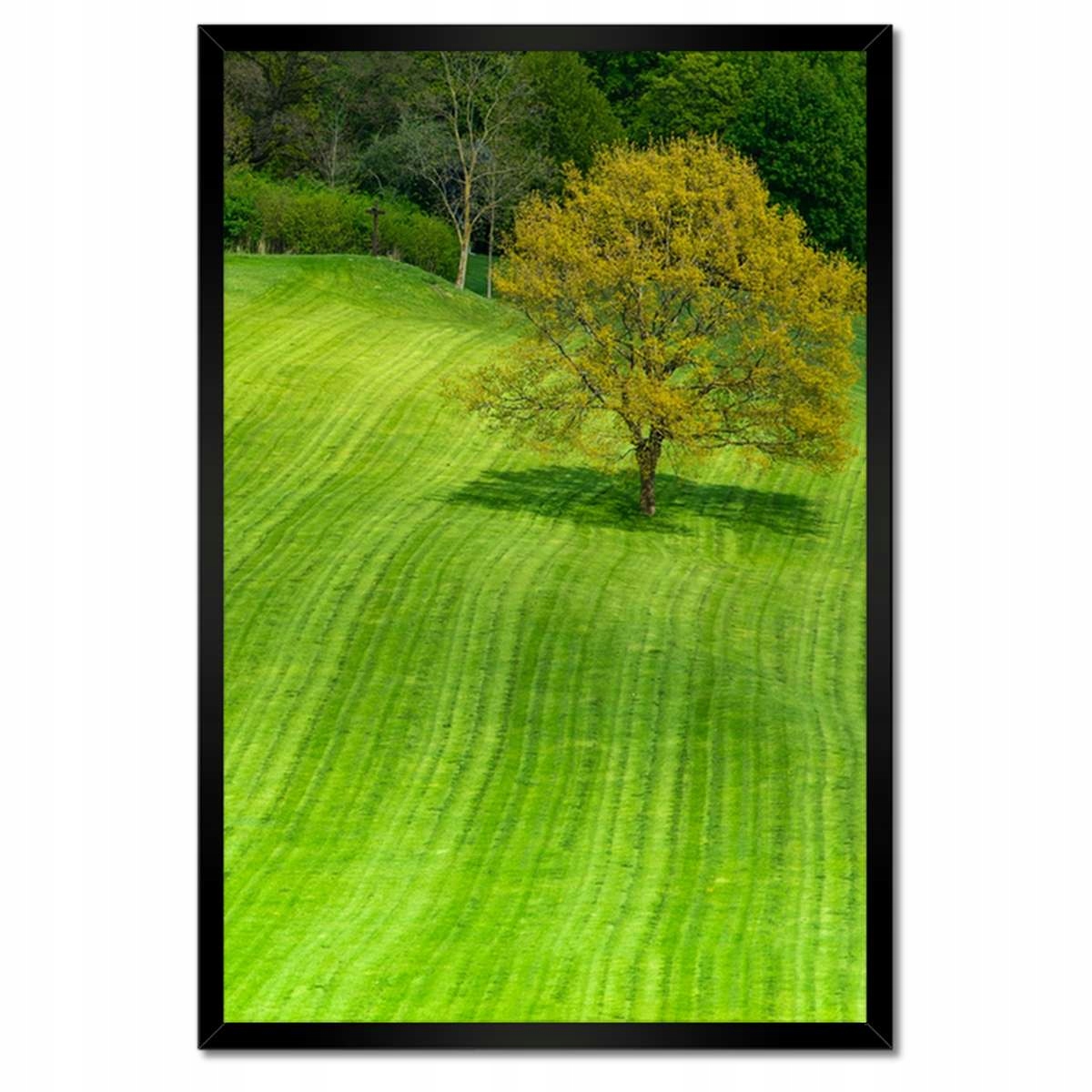 Plakáty v rámu 40x60 Golfové hřiště
