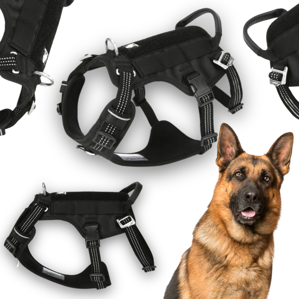 Postroje Proti Úniku Pro Psa Reflexní Truelove Safe Hiking Černé XL