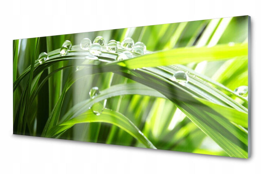 Sklenený panel do kuchyne Tráva Rosa Kvapky 125x50