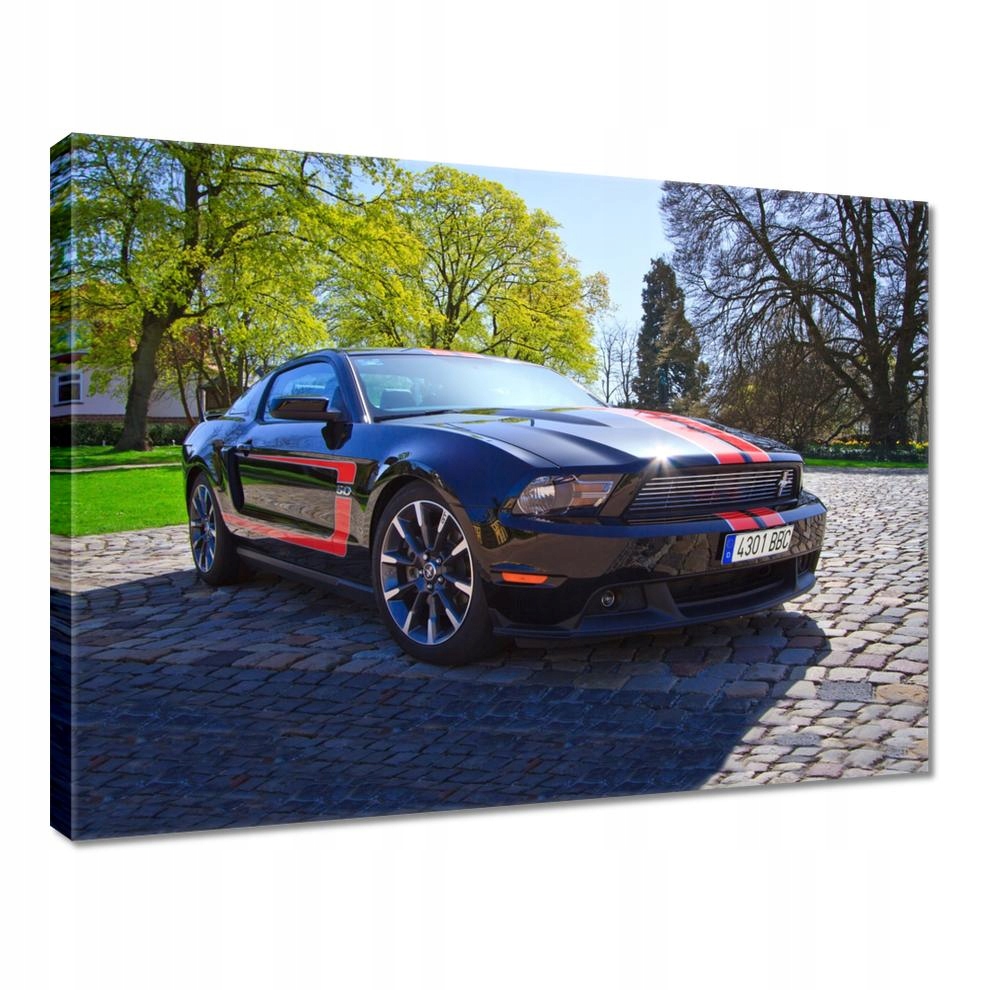 

Obrazy 40x30 Ford Mustang Samochód