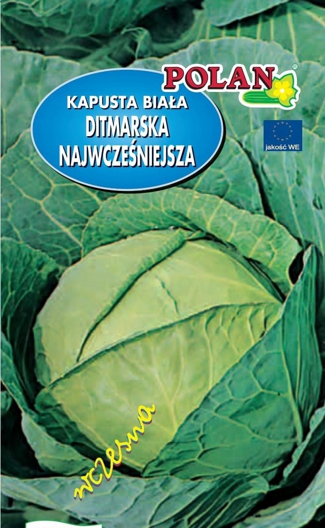 nasiona KAPUSTA DITMARSKA 2g PN4430 — 2
