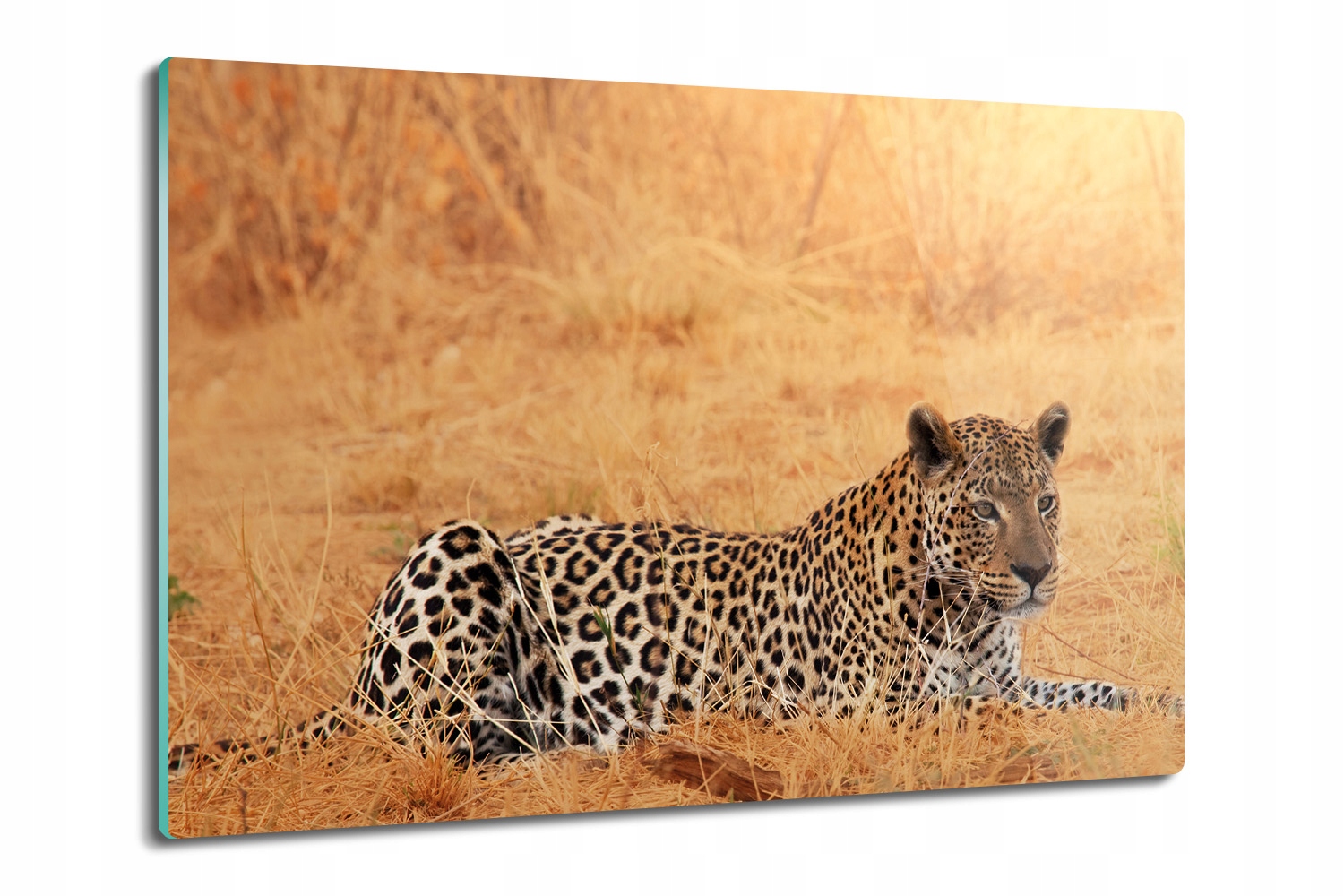 Prkénko na krájení Premium z tvrzeného skla 80x52 Gepard savana