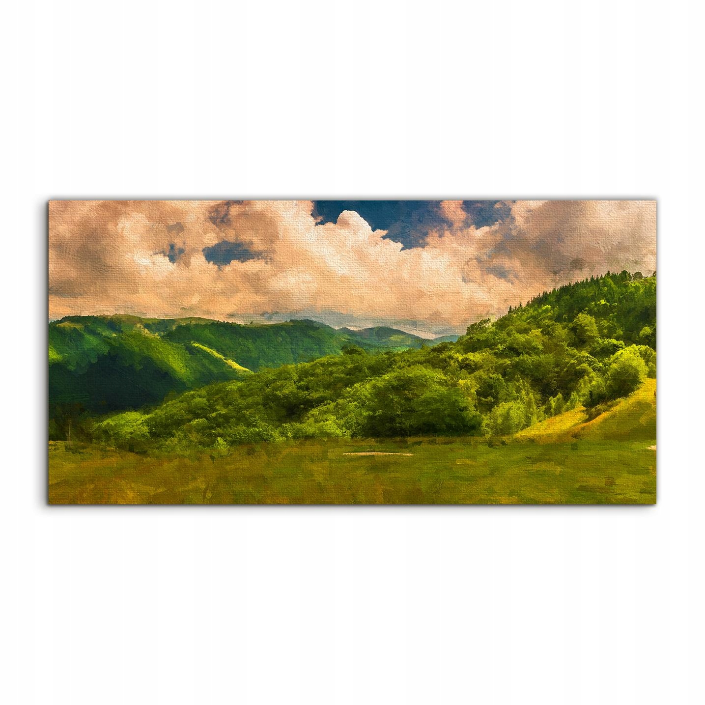 Akrylový obraz 120x60 na stenu Hory Krajina Les