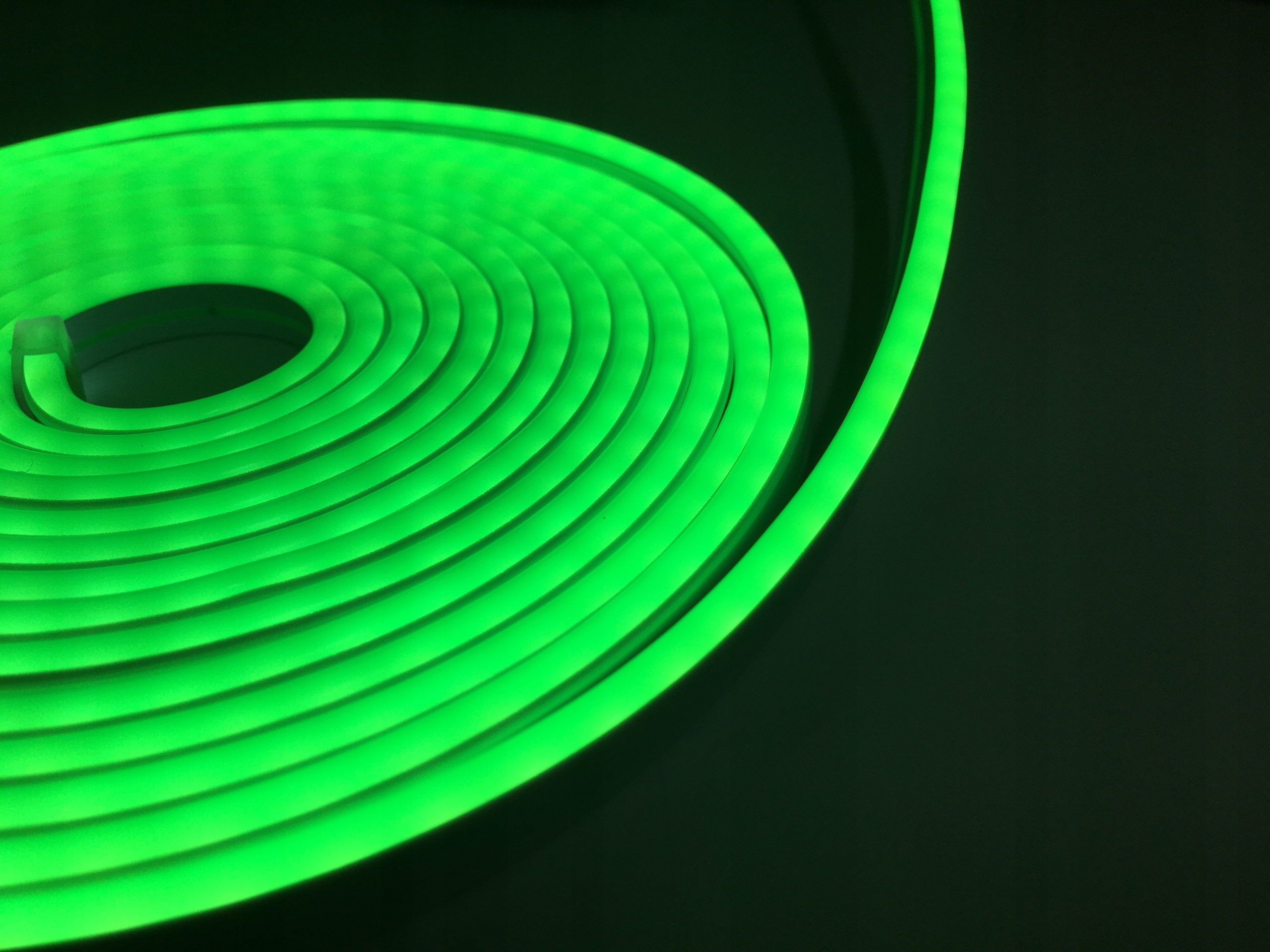 NEON LED FLEX 12V Taśma LED ZIELONY IP67 Długość 1 m