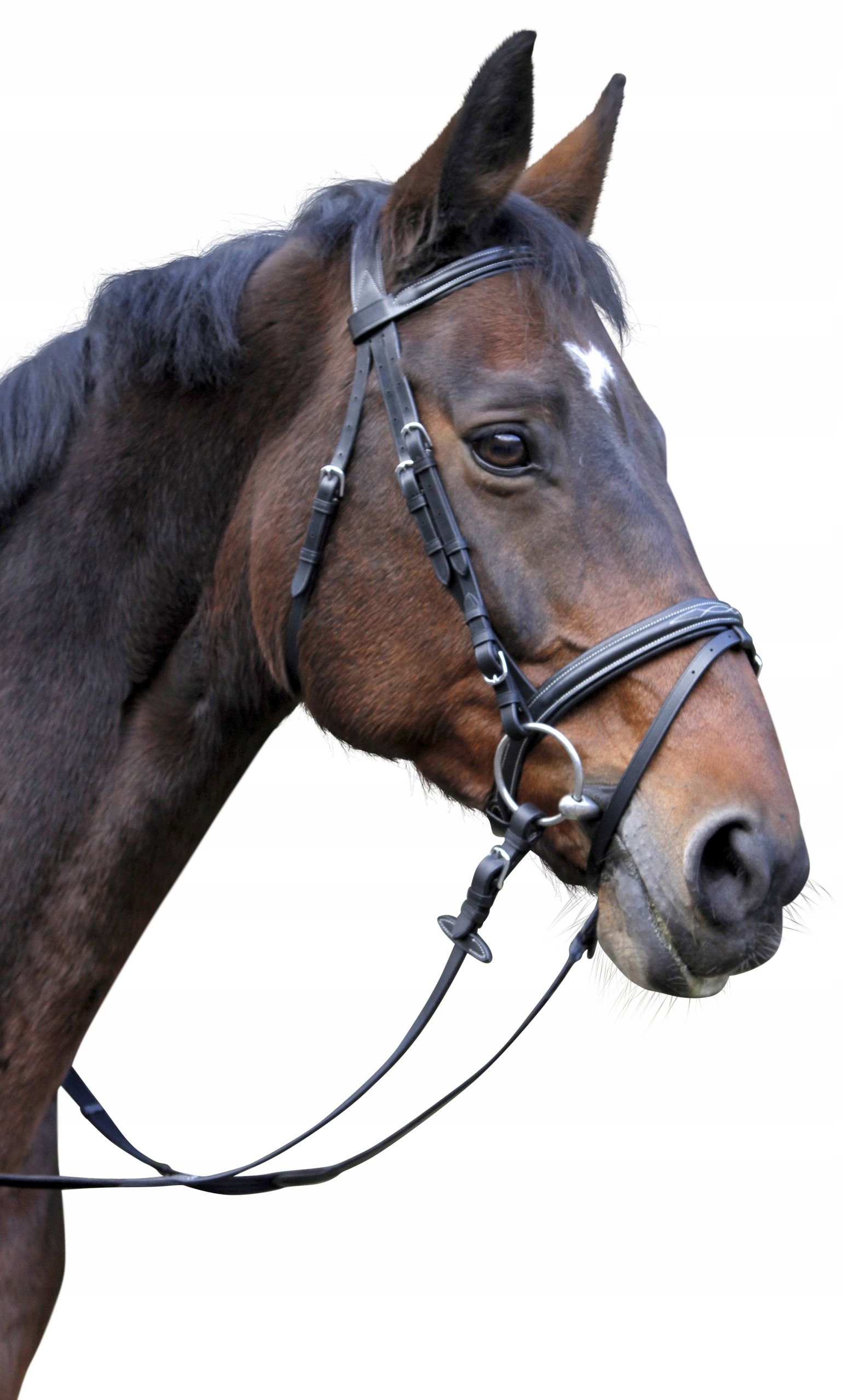 Covalliero, Ogłowie Classic Cob czarny