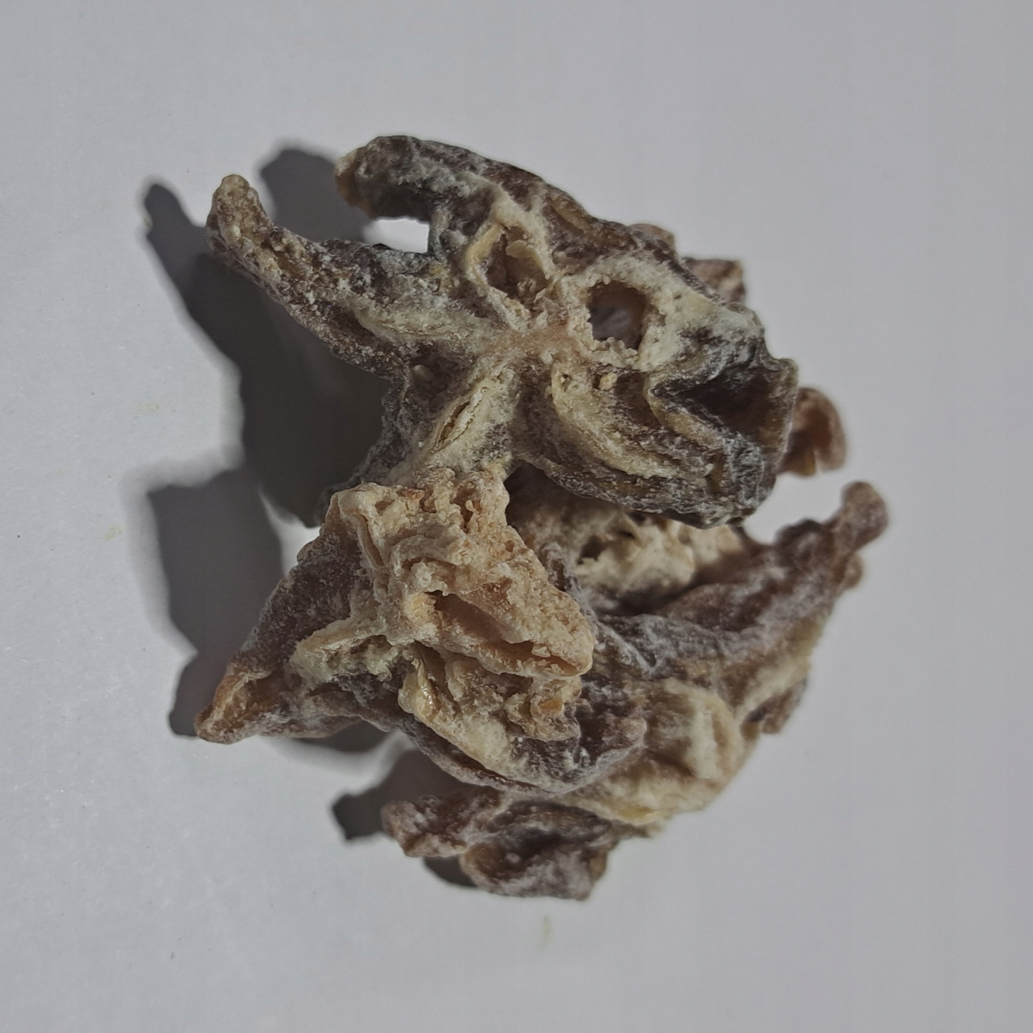 Levně Karambola Oskomian Popolity 1 kg Rafex