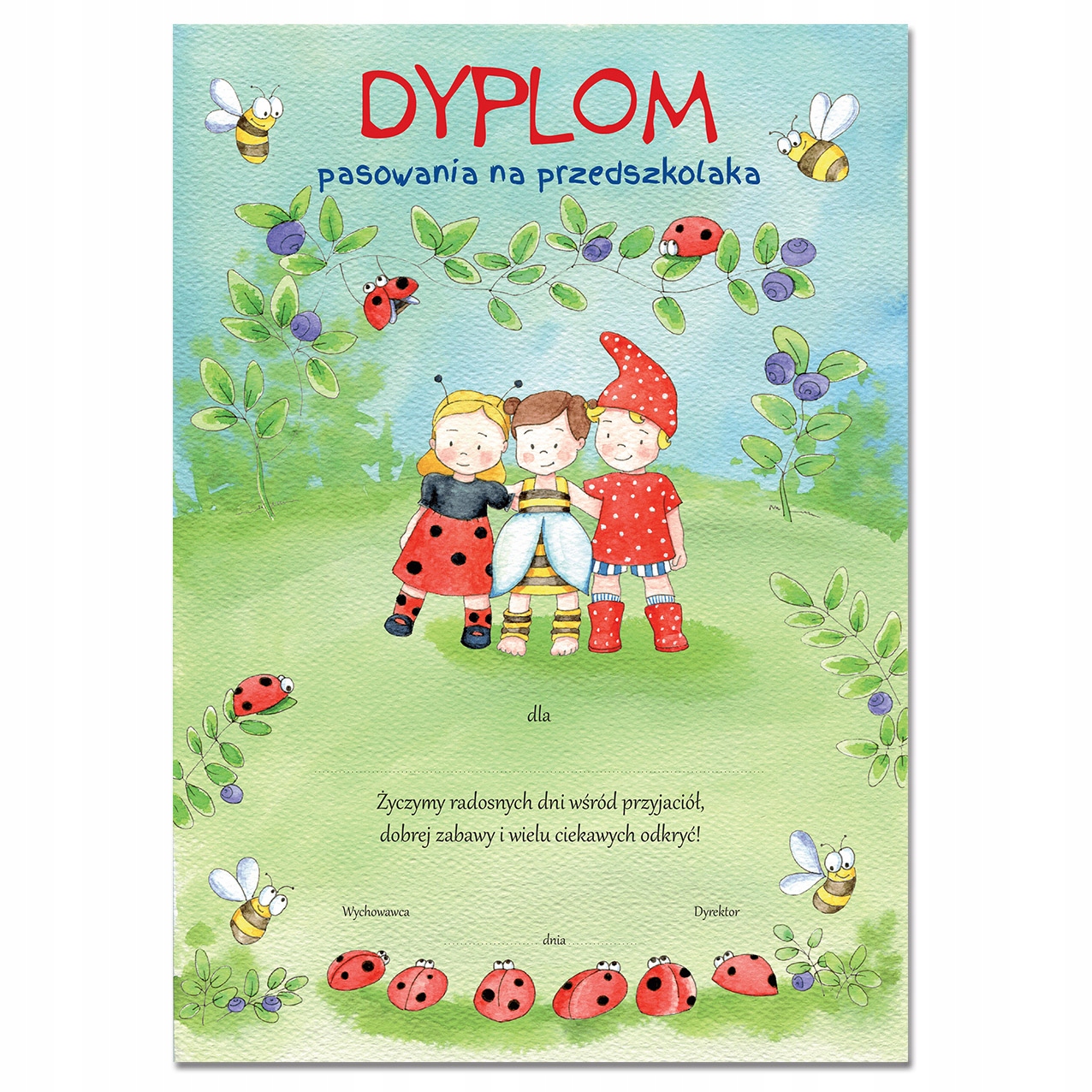 

Dyplom Pasowania Na Przedszkolaka AN116
