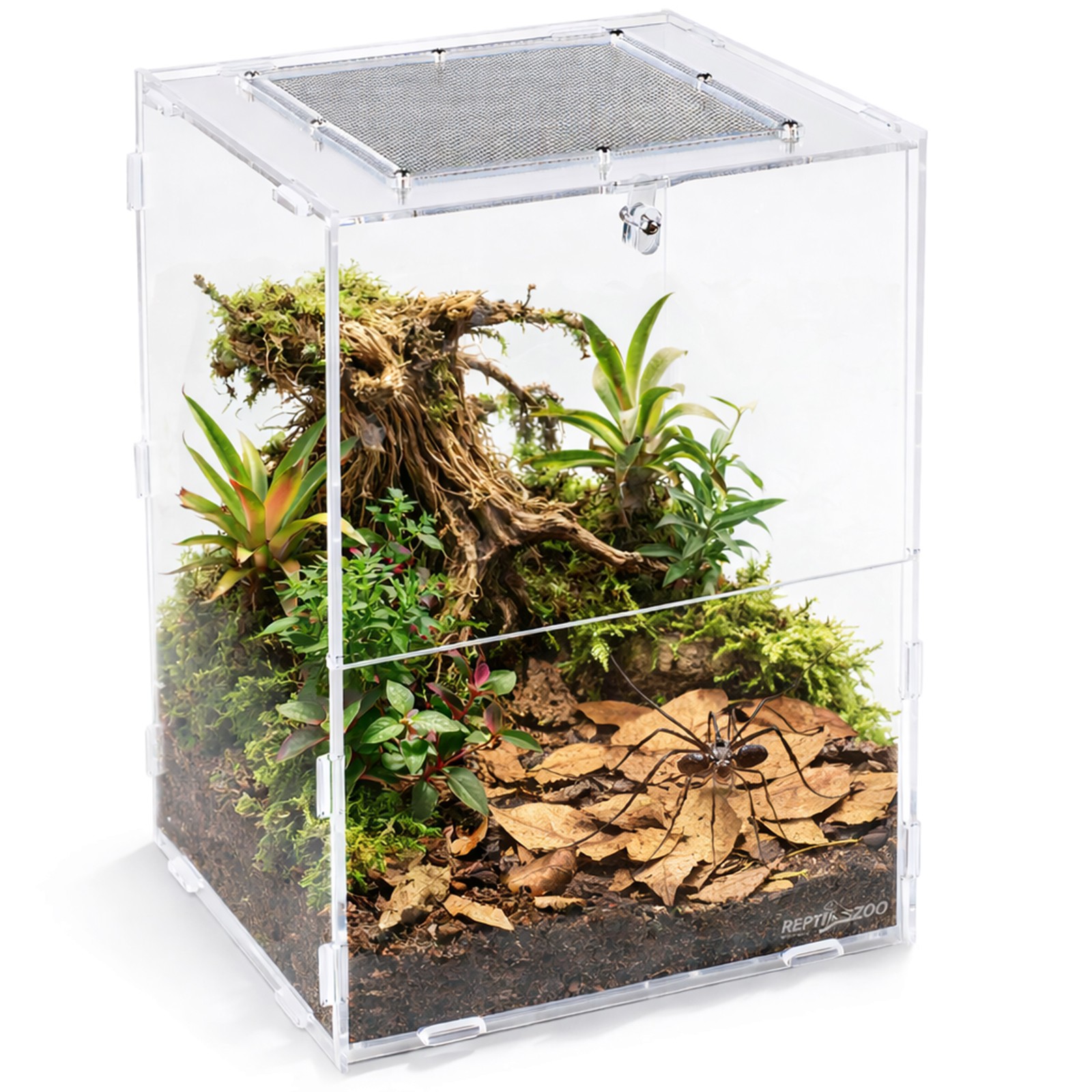 Terrarium Dla Pająka Akryl Przednie Drzwiczki Repti-zoo PACR86 19X18X29CM