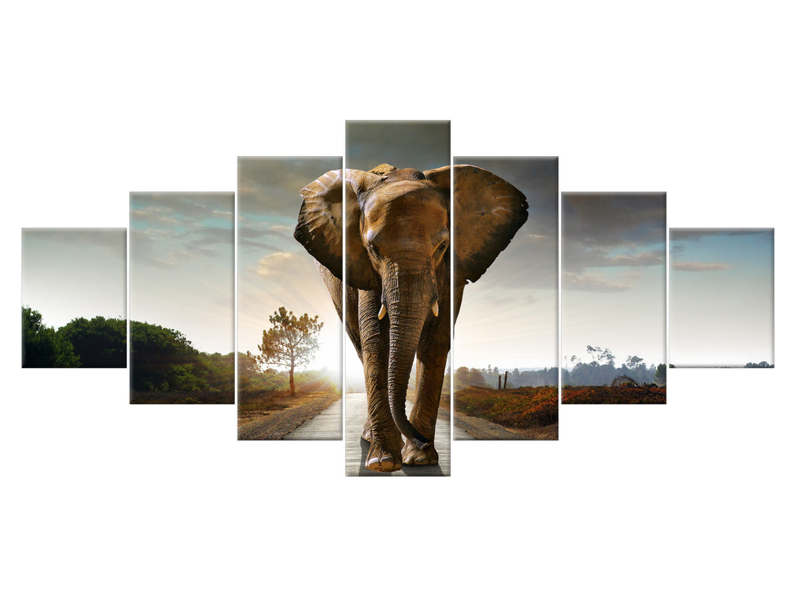 

Obraz Słoń 210x100 Pejzaż 2479A_7A do salonu