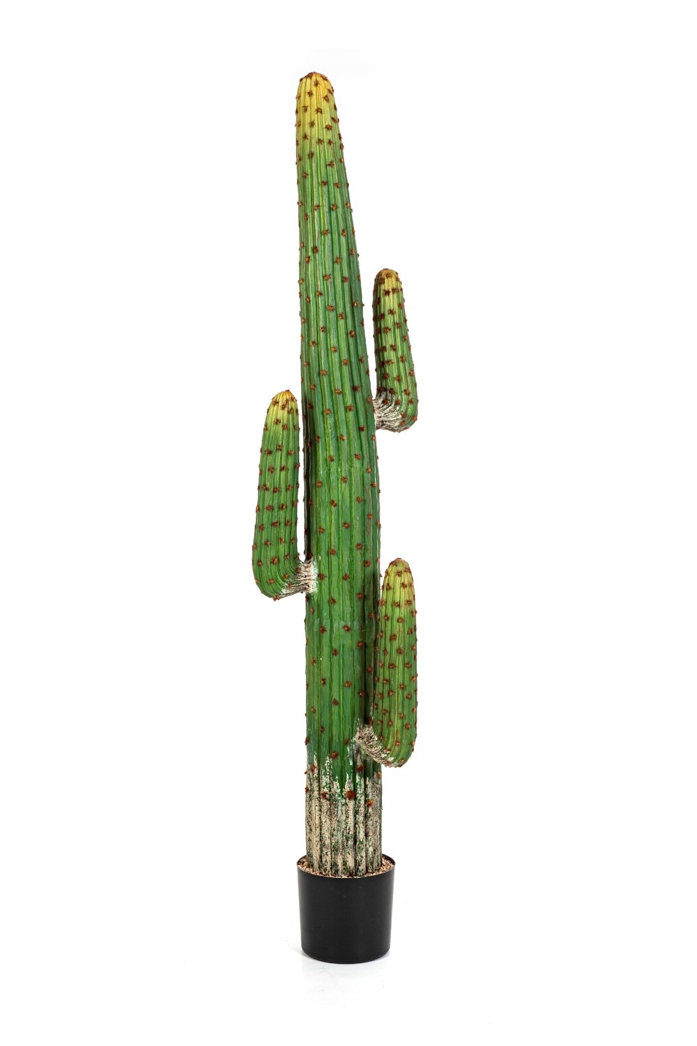 efektowny sztuczny kaktus jak żywy kaktusy Mexican 170cm meksykański cactus