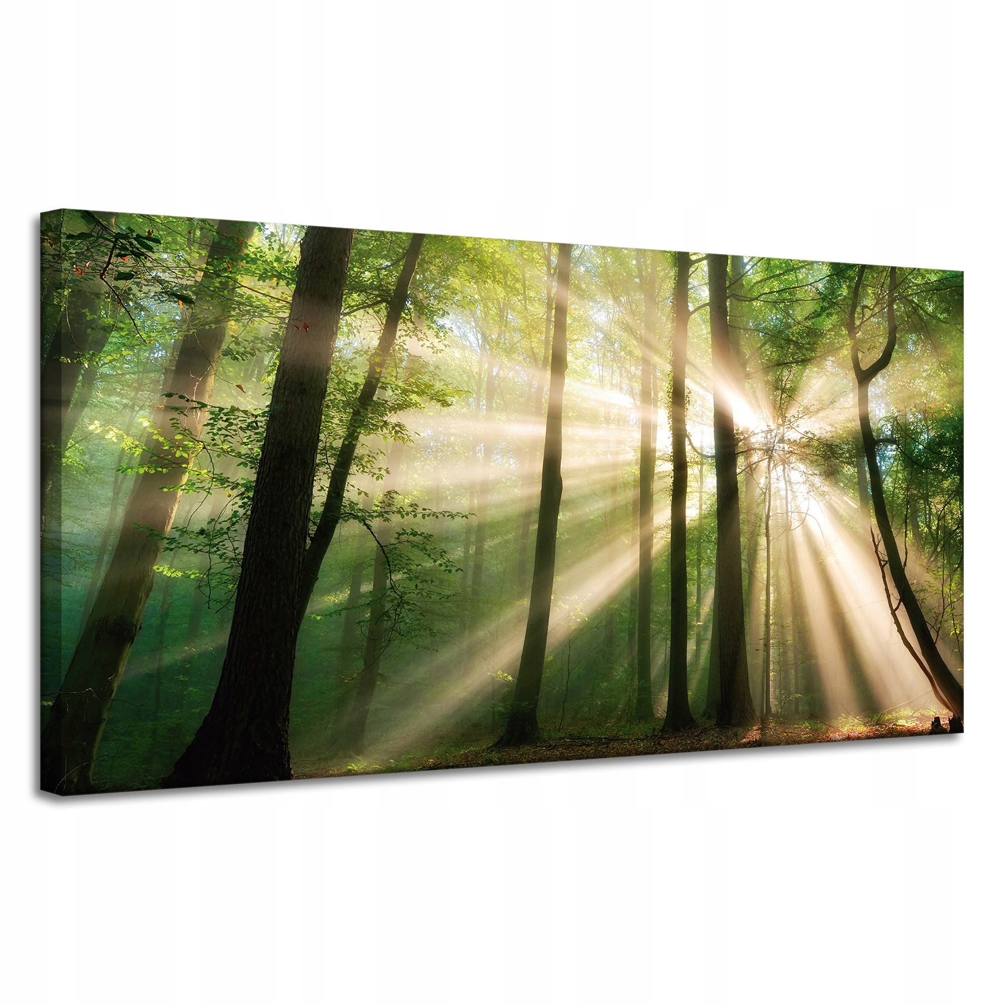 Obraz na plátně Slunce v lese Stromy Příroda 120x60 cm Ideální jako dárek