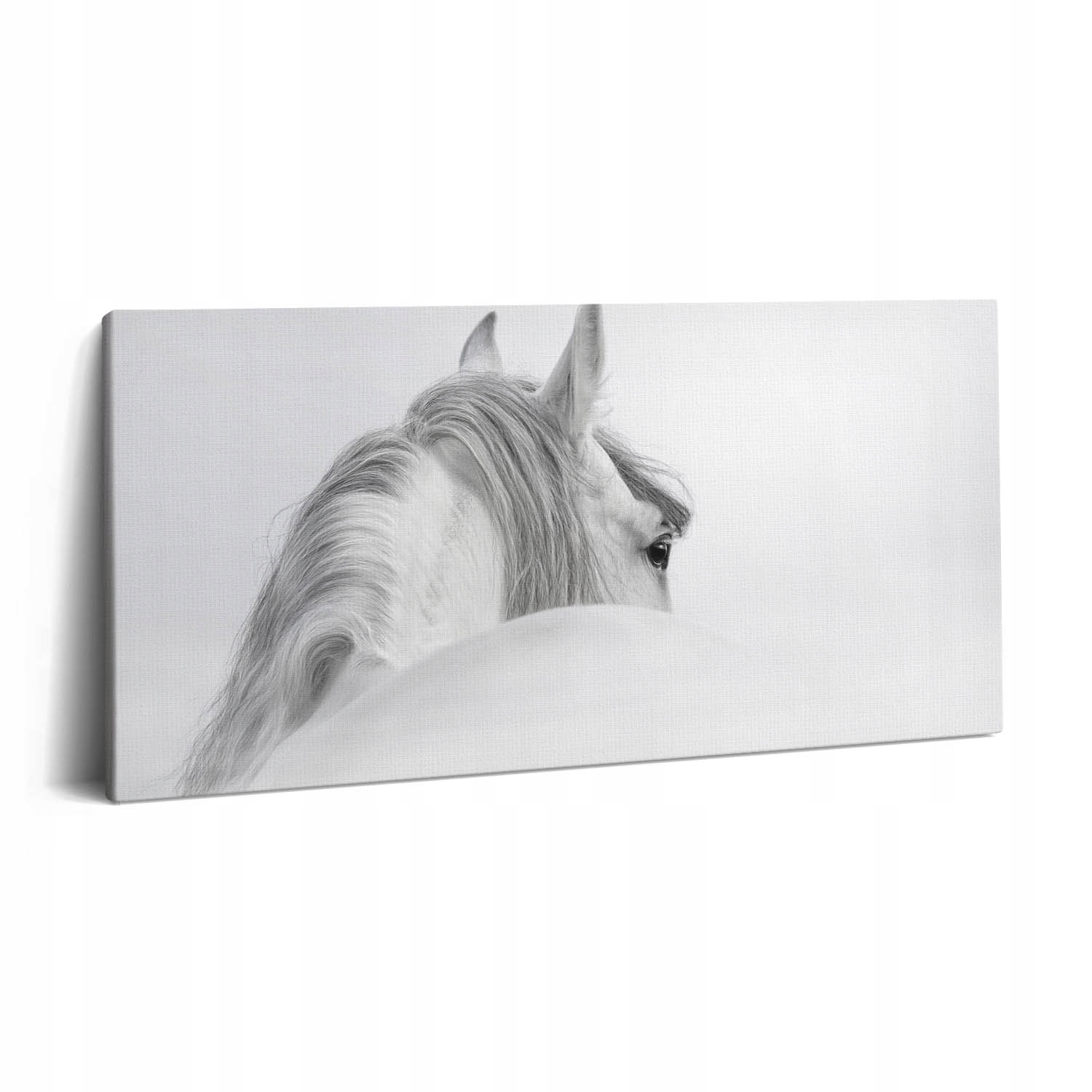 Fotoobraz Canvas do jídelny Krásný Andaluský kůň v mlze 120x60 cm