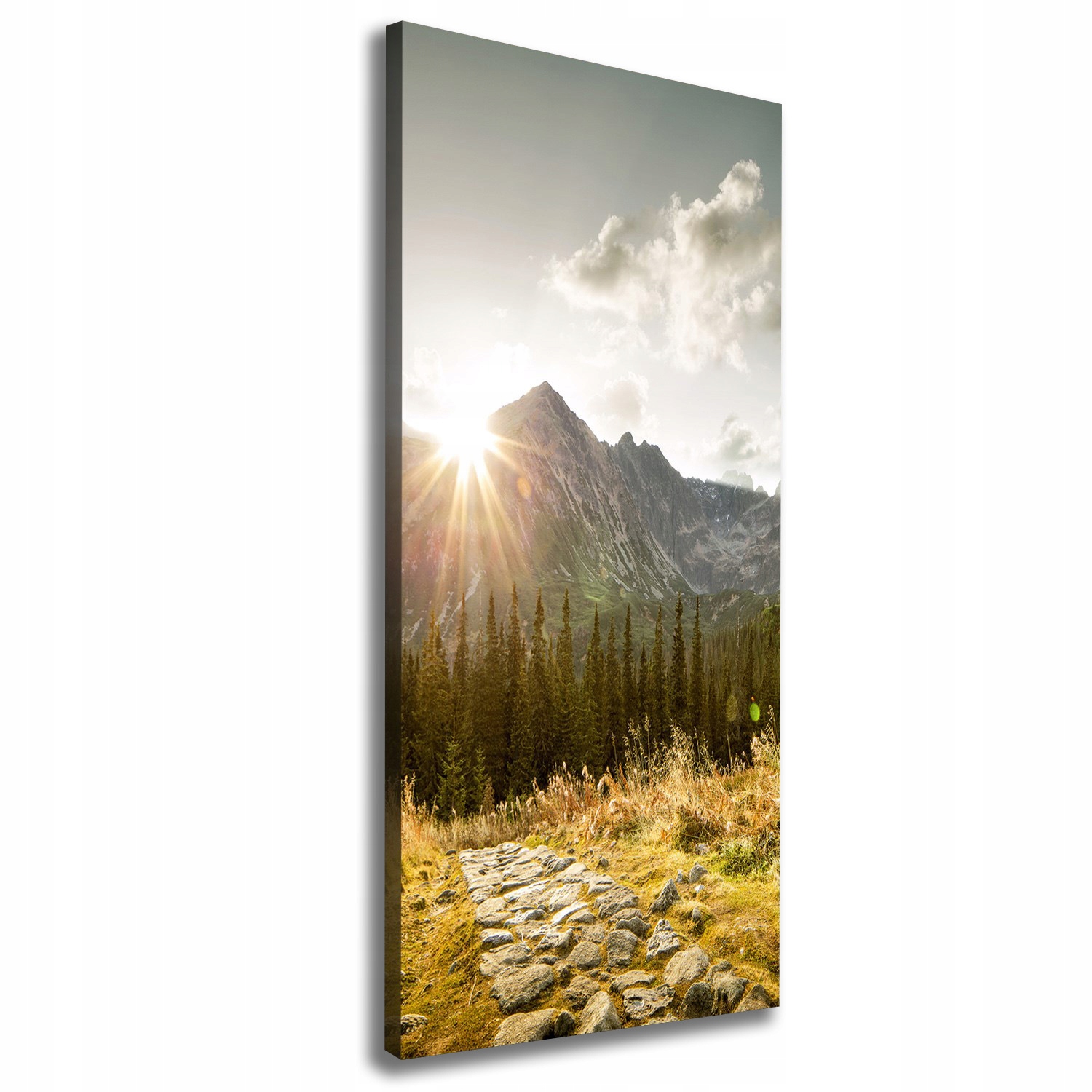 

Foto obraz na płótnie Zachód słońca Tatry 50x125cm