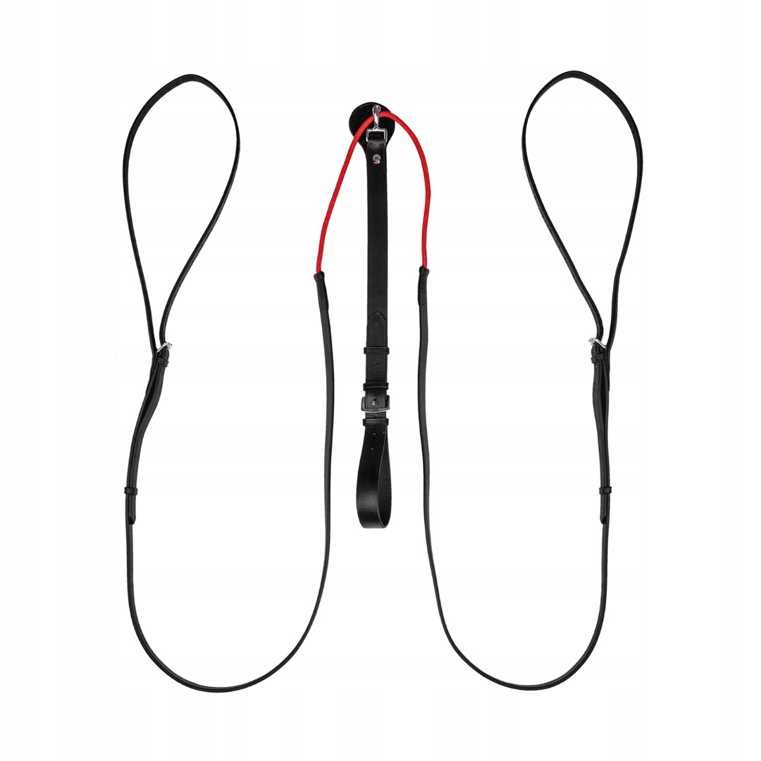 Waldhausen W-trainRein – Trojúhelníkové vedení pro lepší práci s koněm