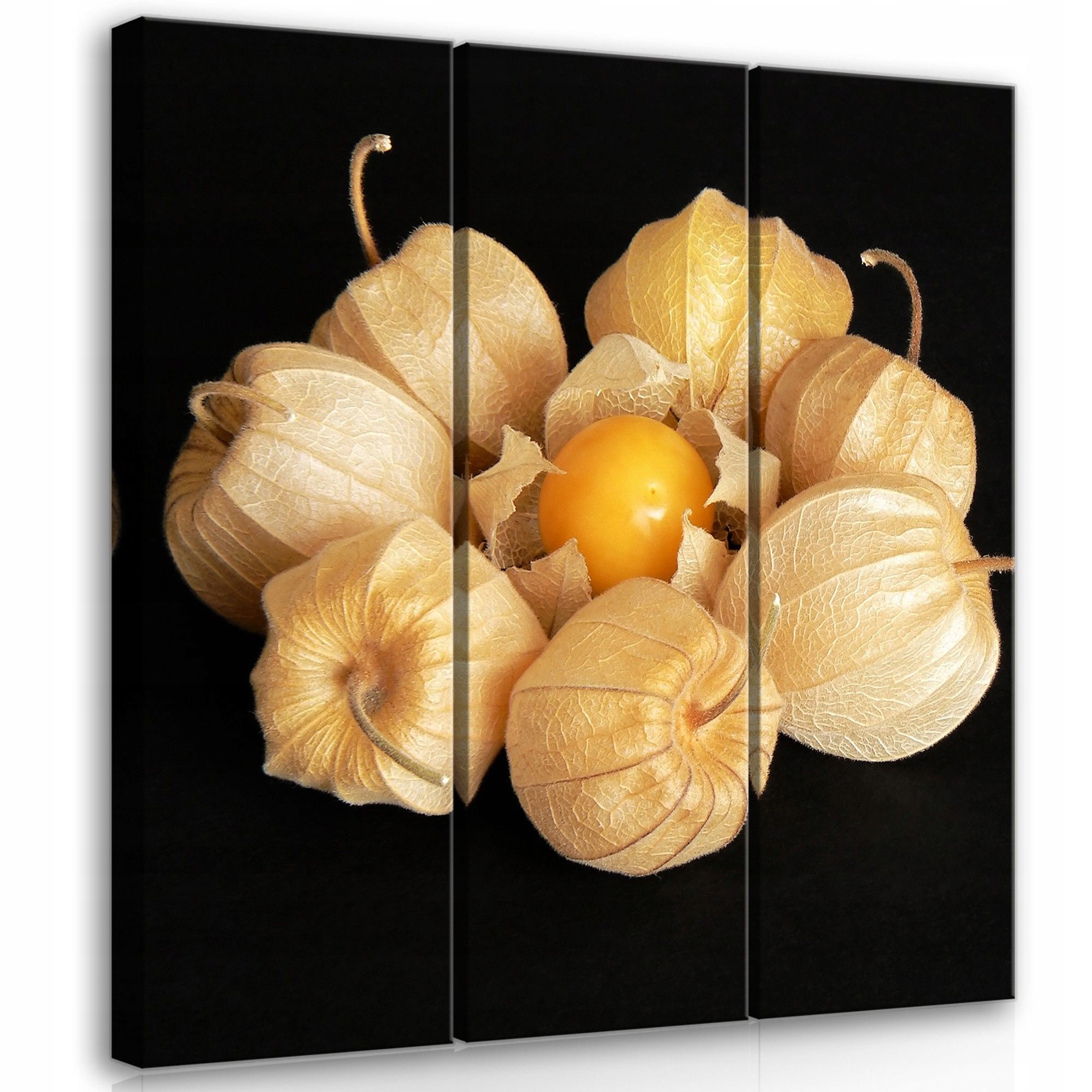 Obraz 90x100 Mochyně podzim sklizeň příroda bobule lampiony teplo