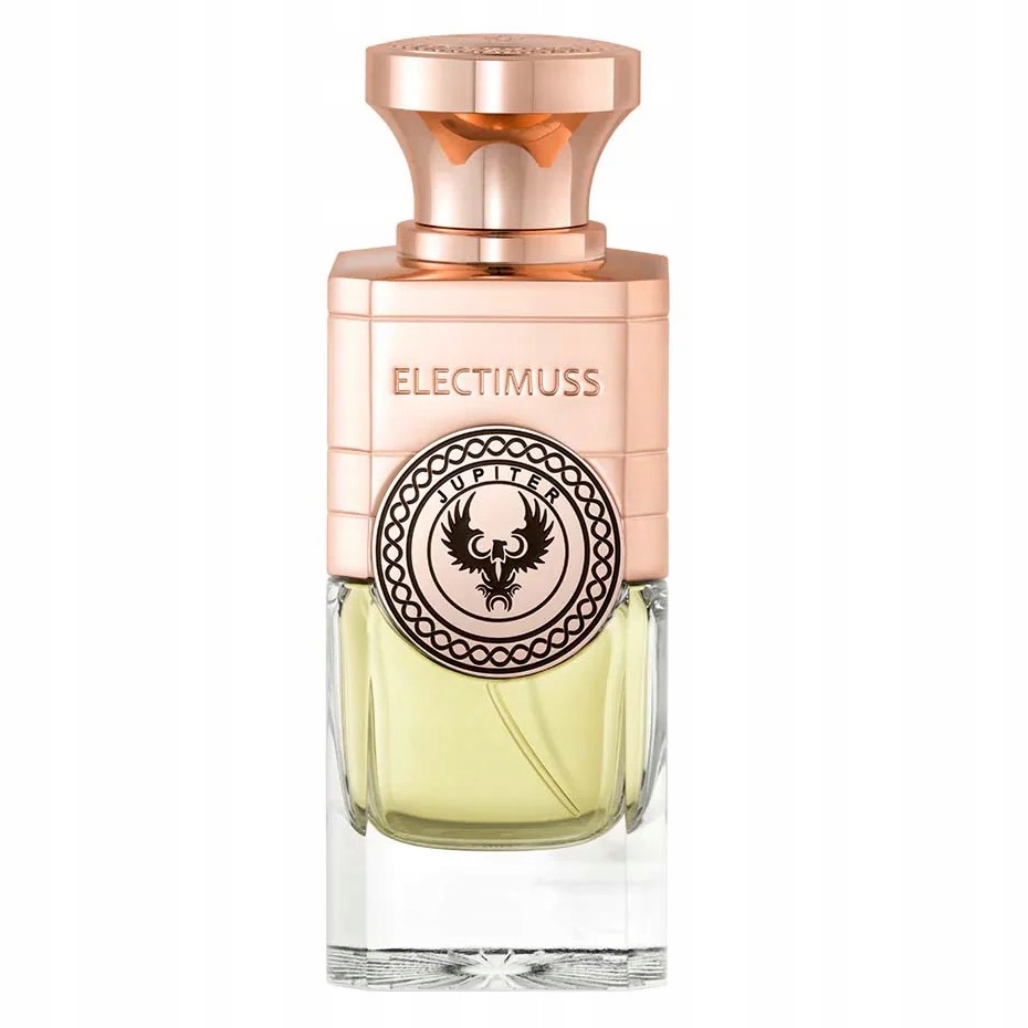Silná vůně Jupiter Parfémový sprej 100 ml Electimuss pro muže