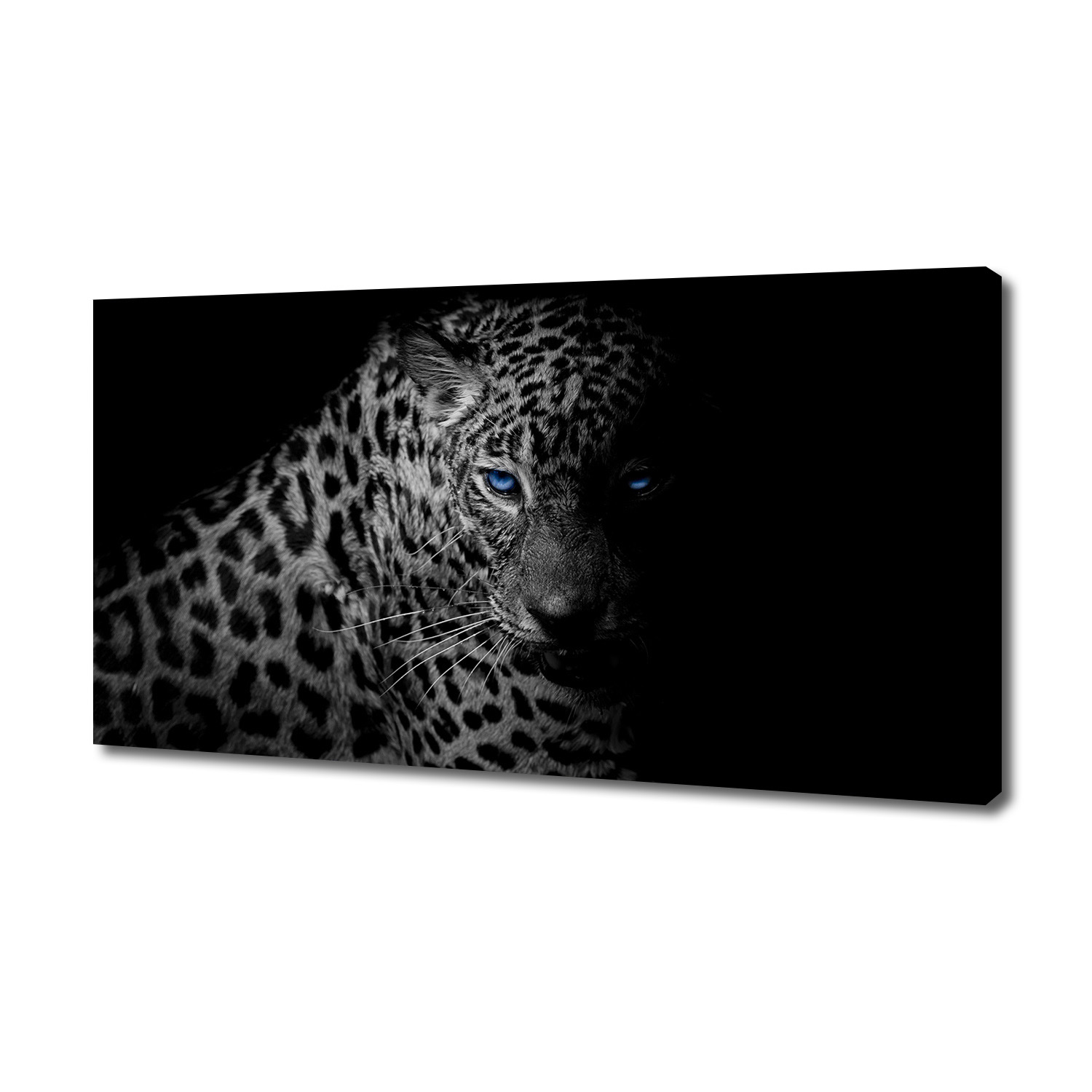 

Foto obraz canvas na ścianę Lampart 140x70 cm