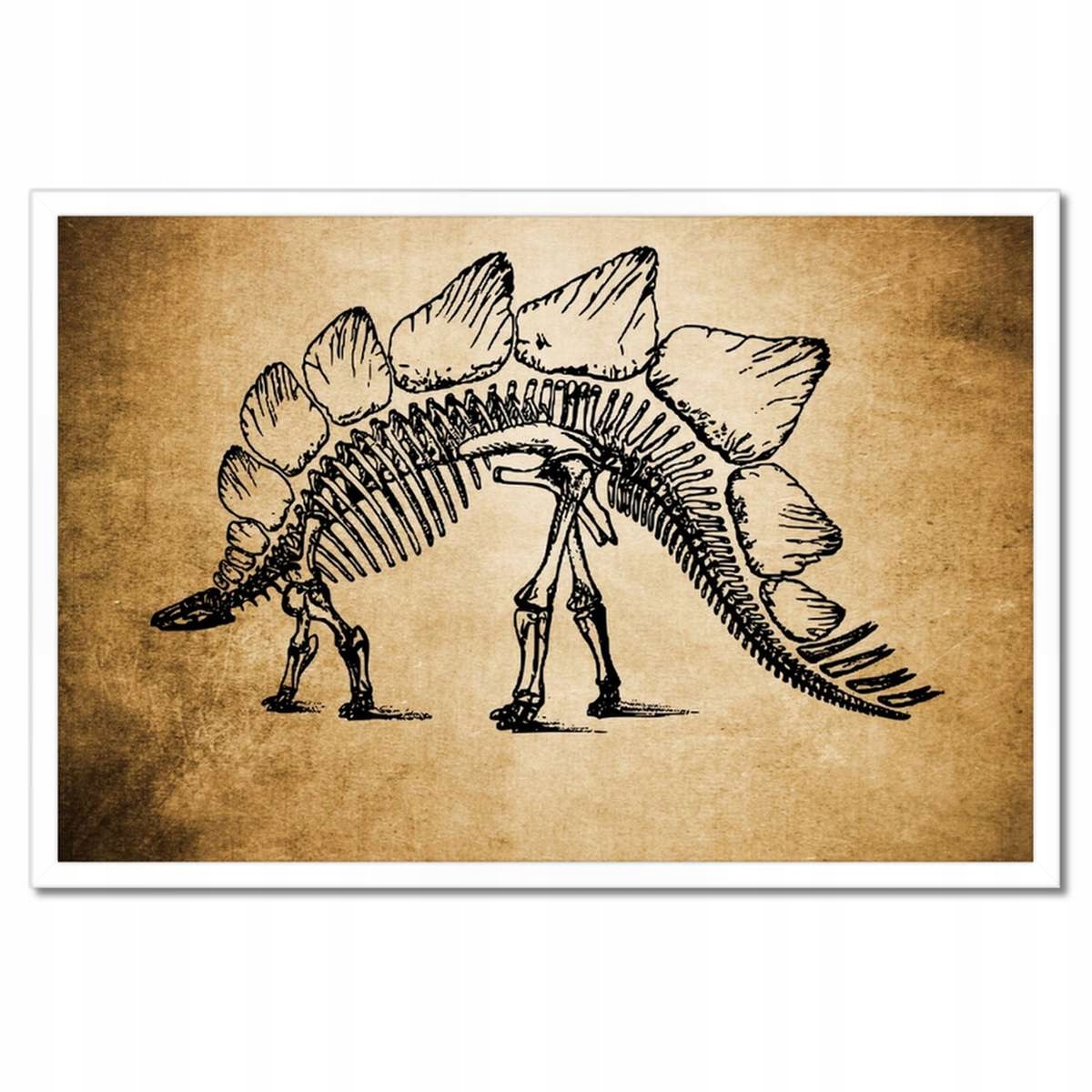 Plakáty v rámu 60x40 Dinosaurus Prehistorie Dino
