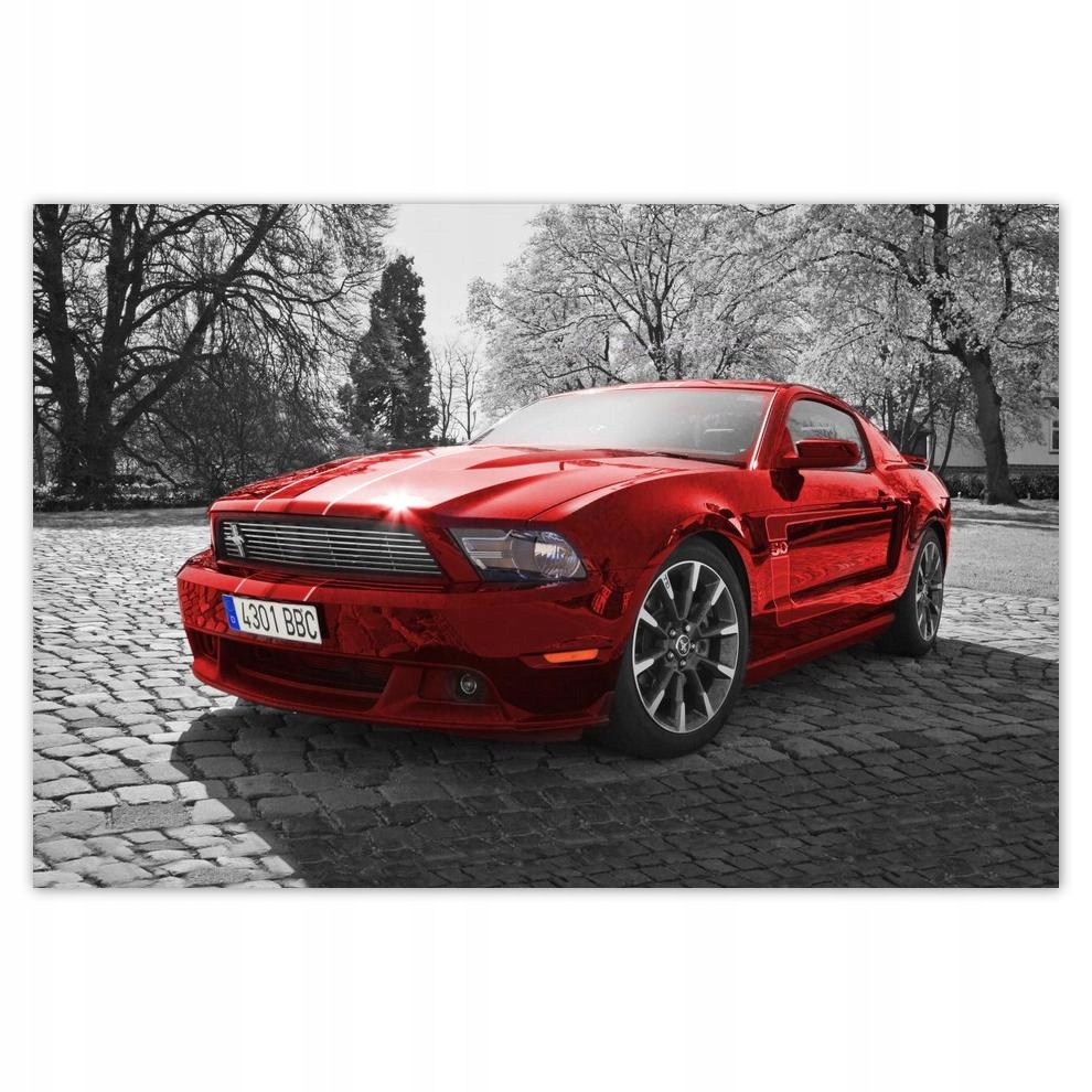 

Plakat 60x40 Czerwony Mustang
