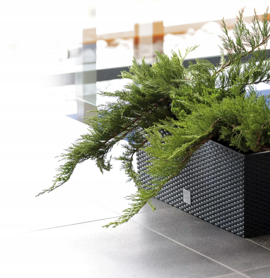 DONICZKA BALKONOWA TARAS SKRZYNKA RATANOWANA OGRODEK SYSTEM NAWADNIANIA Marka Prosperplast