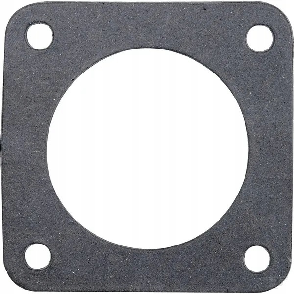 Uszczelka termostatu do URSUSA C-360