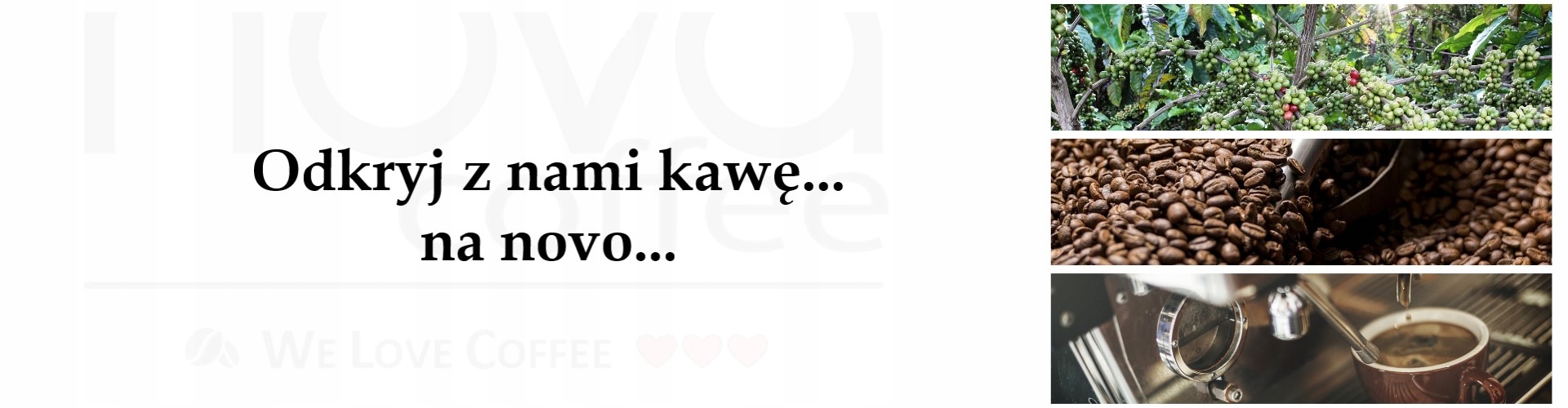 SMEG EGF03PGEU Espres z MŁYNKIEM - PASTELOWY ZIELONY Kod producenta EGF03PGEU