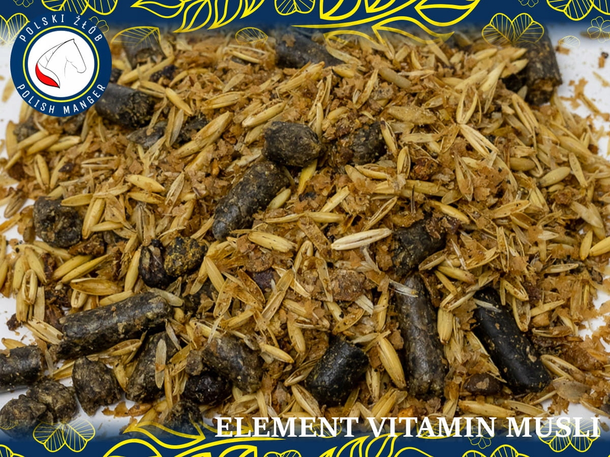 Element - Vitamin musli 20kg EAN (GTIN) 5904107775340