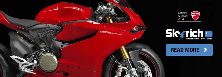 Akumulator Skyrich Lithium HJB5L-FP (12V 19,2Wh) Producent Skyrich