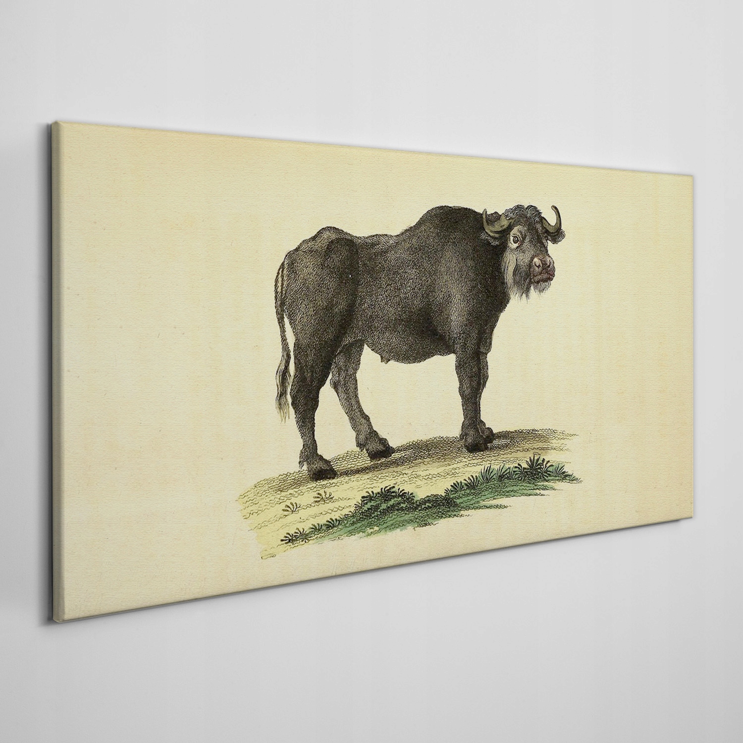 

Obraz na płótnie Bawół zwierzę rysunek 140x70 cm