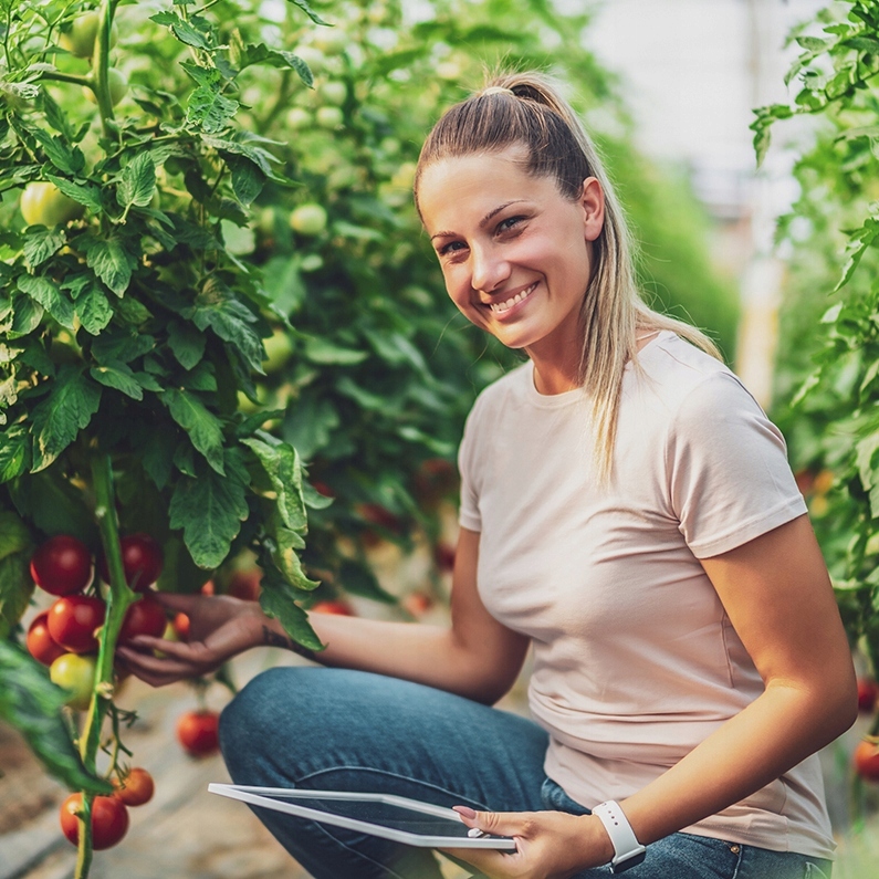 TUNEL FOLIOWY 6m2 OGRODOWY SZKLARNIA 2x3m FILTR UV Kod producenta 2x3m 6m2 metalowa konstrukcja, siatka