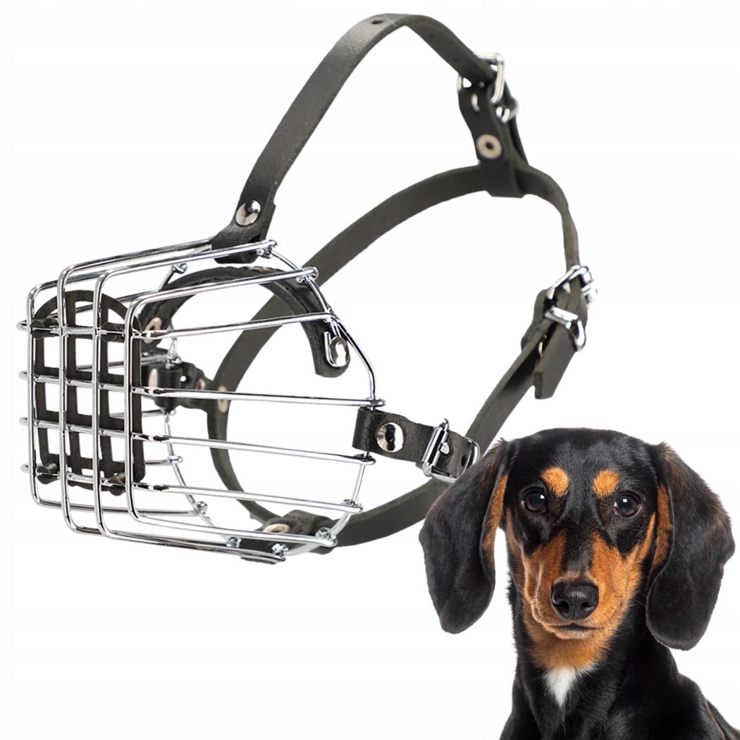 Kaganiec dla psa, metalowy nr 1 (obwód kufy 21cm), jamnik mały Dingo-Zdjęcie-0