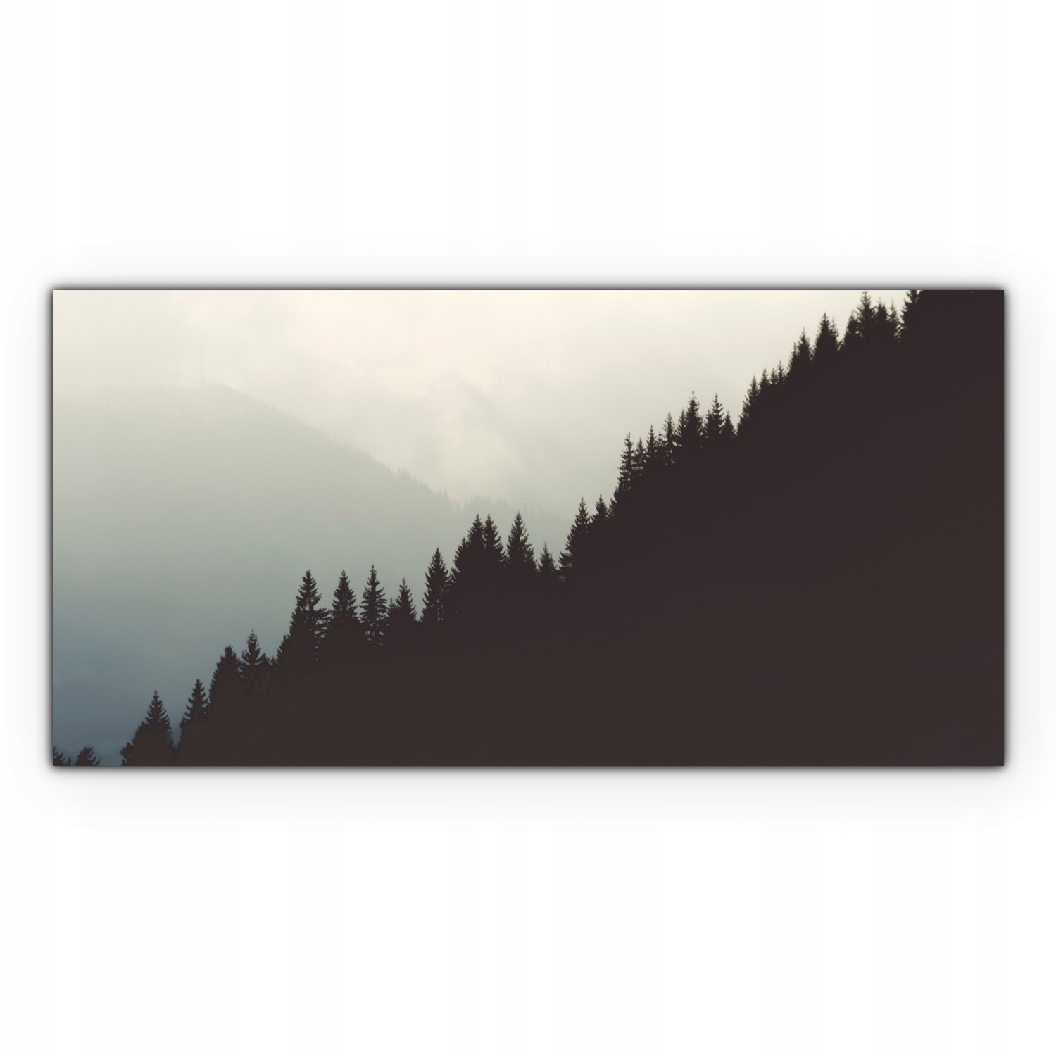 

Canvas na ramie na ścianę 120x60 Drzewa Góry Mgła