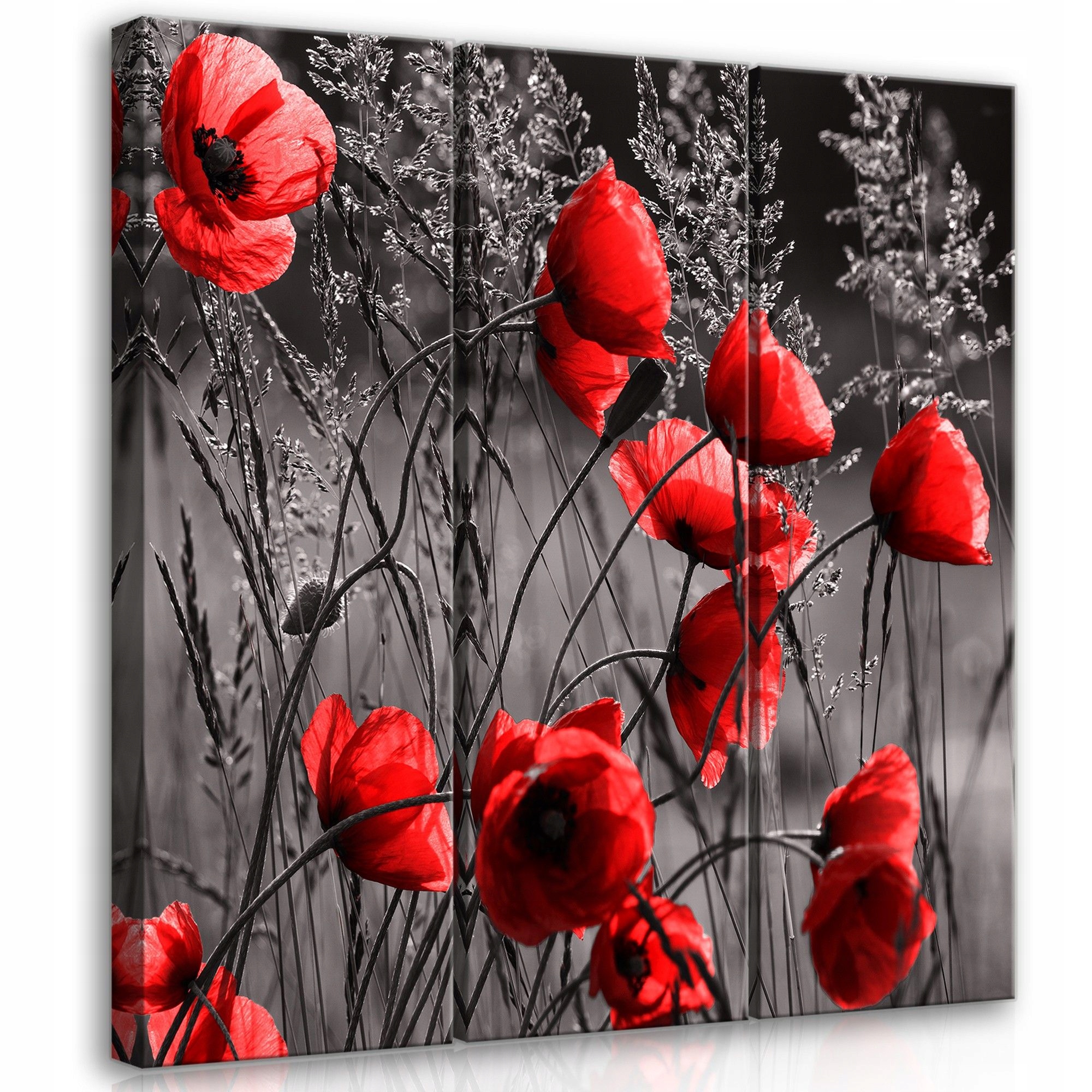 Obraz 90x100 Maki triptych červený kontrast černobílé pozadí květiny příroda