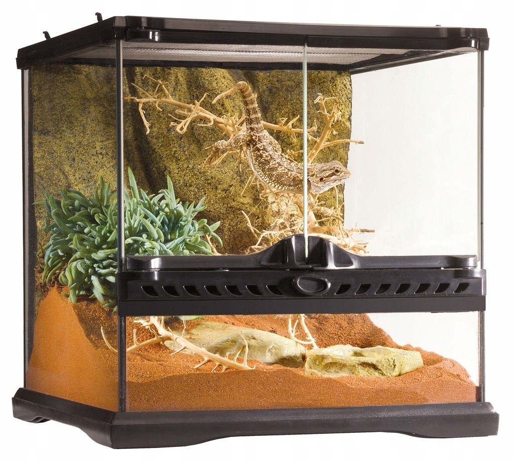 

Exo-terra Terrarium Szklane Mini 30X30X30CM